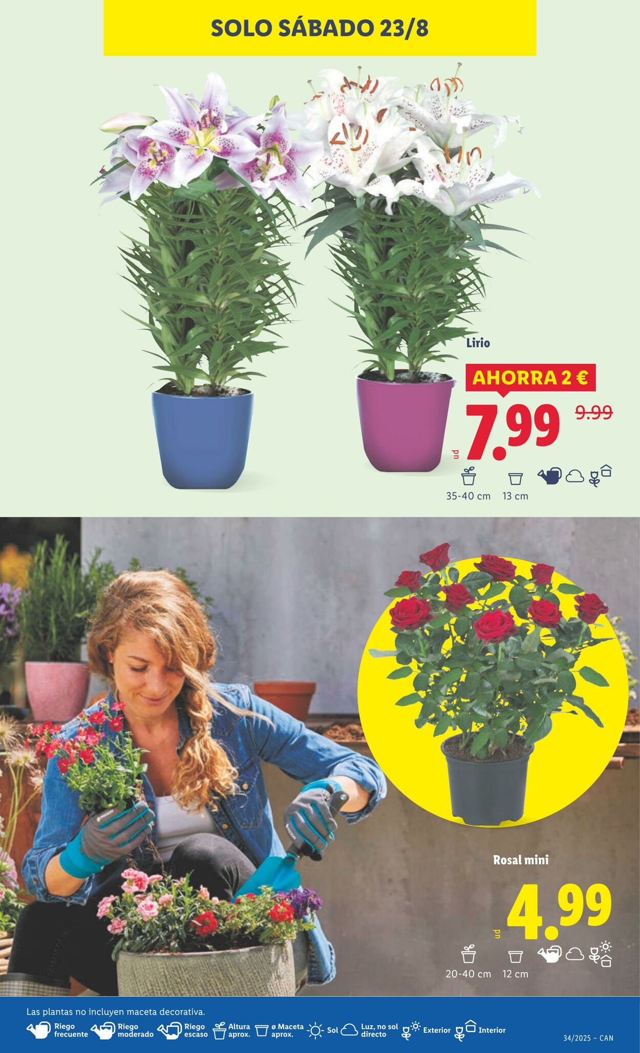Folleto Lidl 18.08.2025 - 24.08.2025
