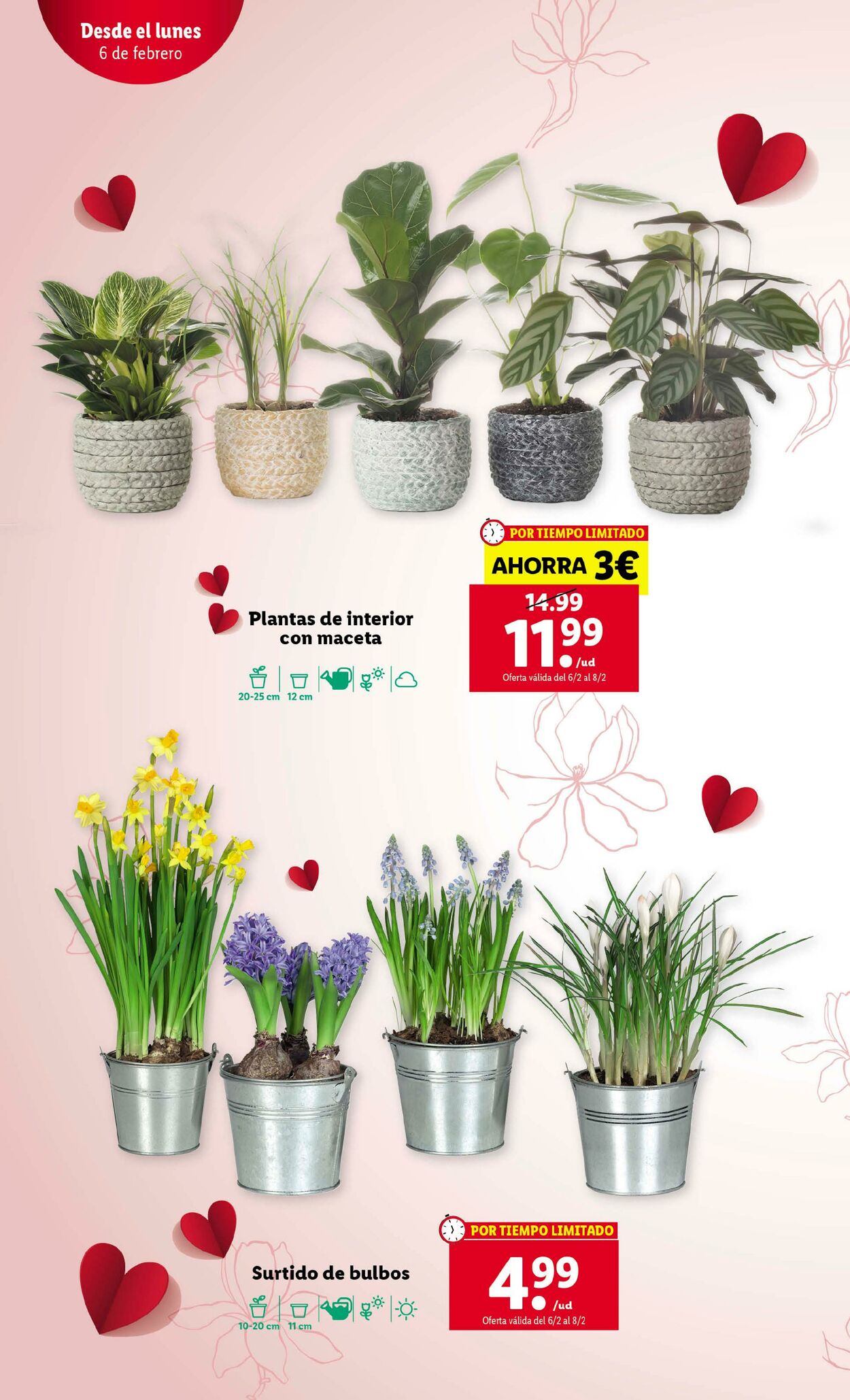 Folleto Lidl 02.02.2023 - 08.02.2023