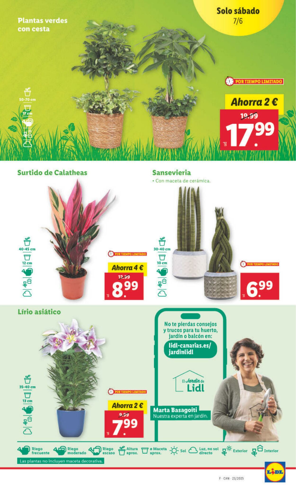 Folleto Lidl 02.06.2025 - 08.06.2025