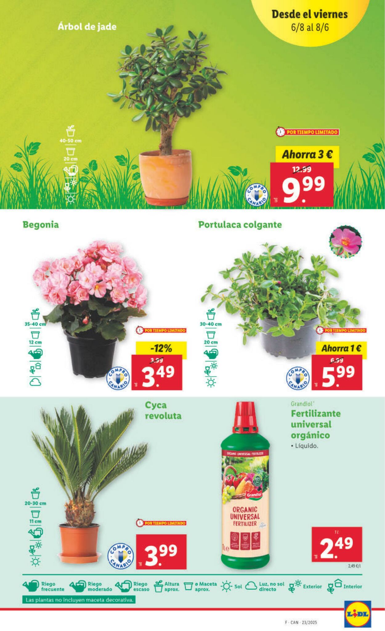 Folleto Lidl 02.06.2025 - 08.06.2025