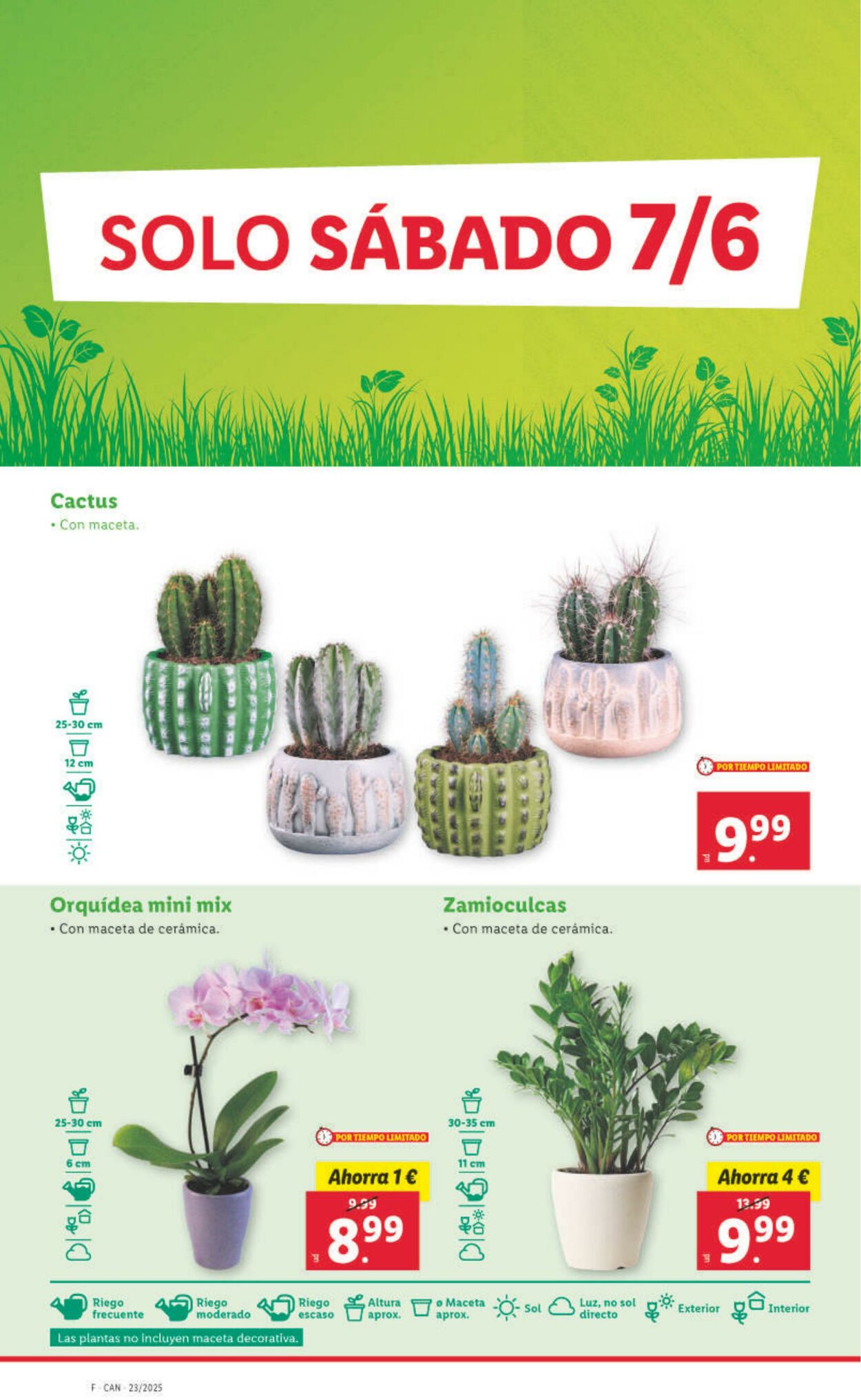 Folleto Lidl 02.06.2025 - 08.06.2025