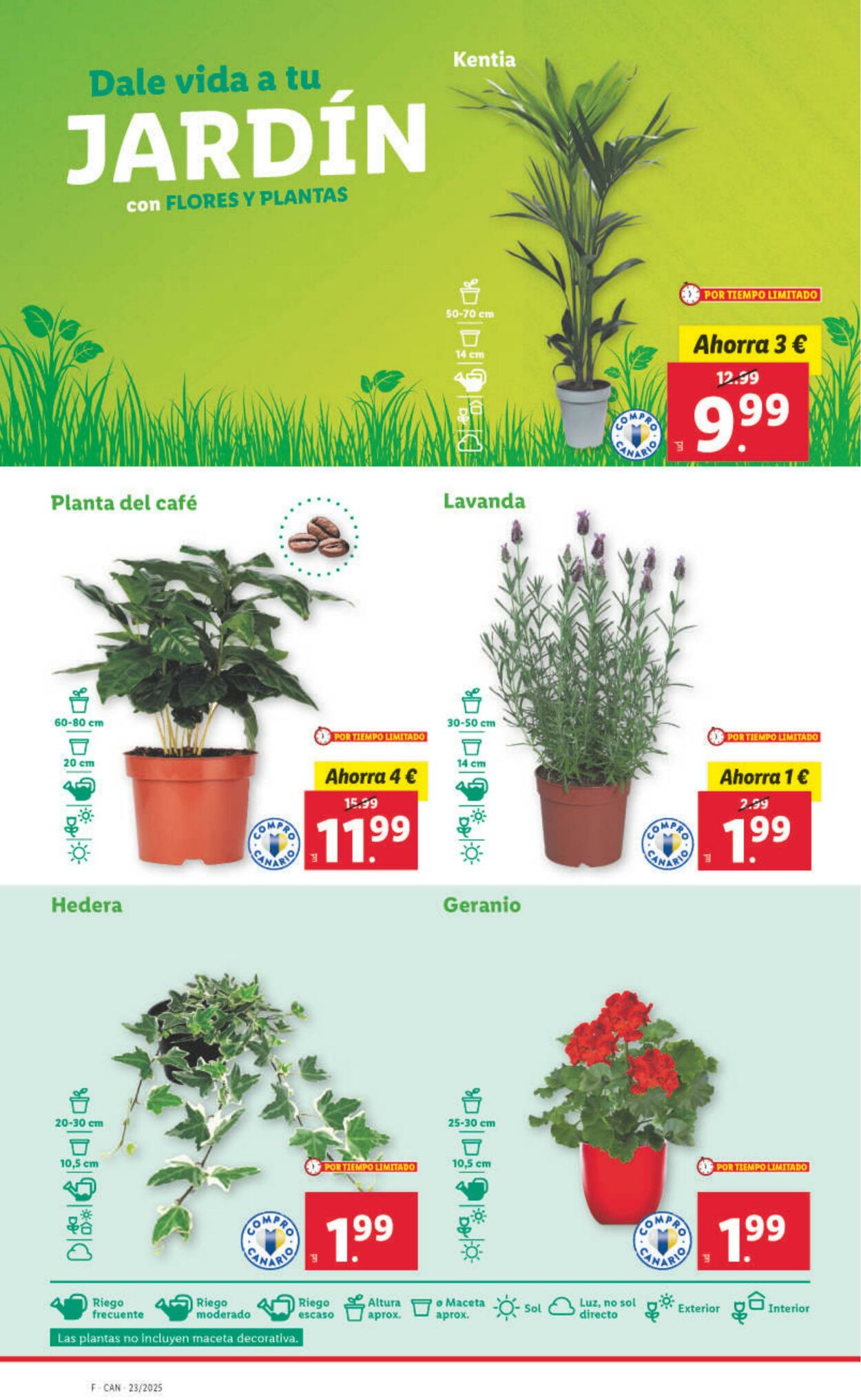 Folleto Lidl 02.06.2025 - 08.06.2025