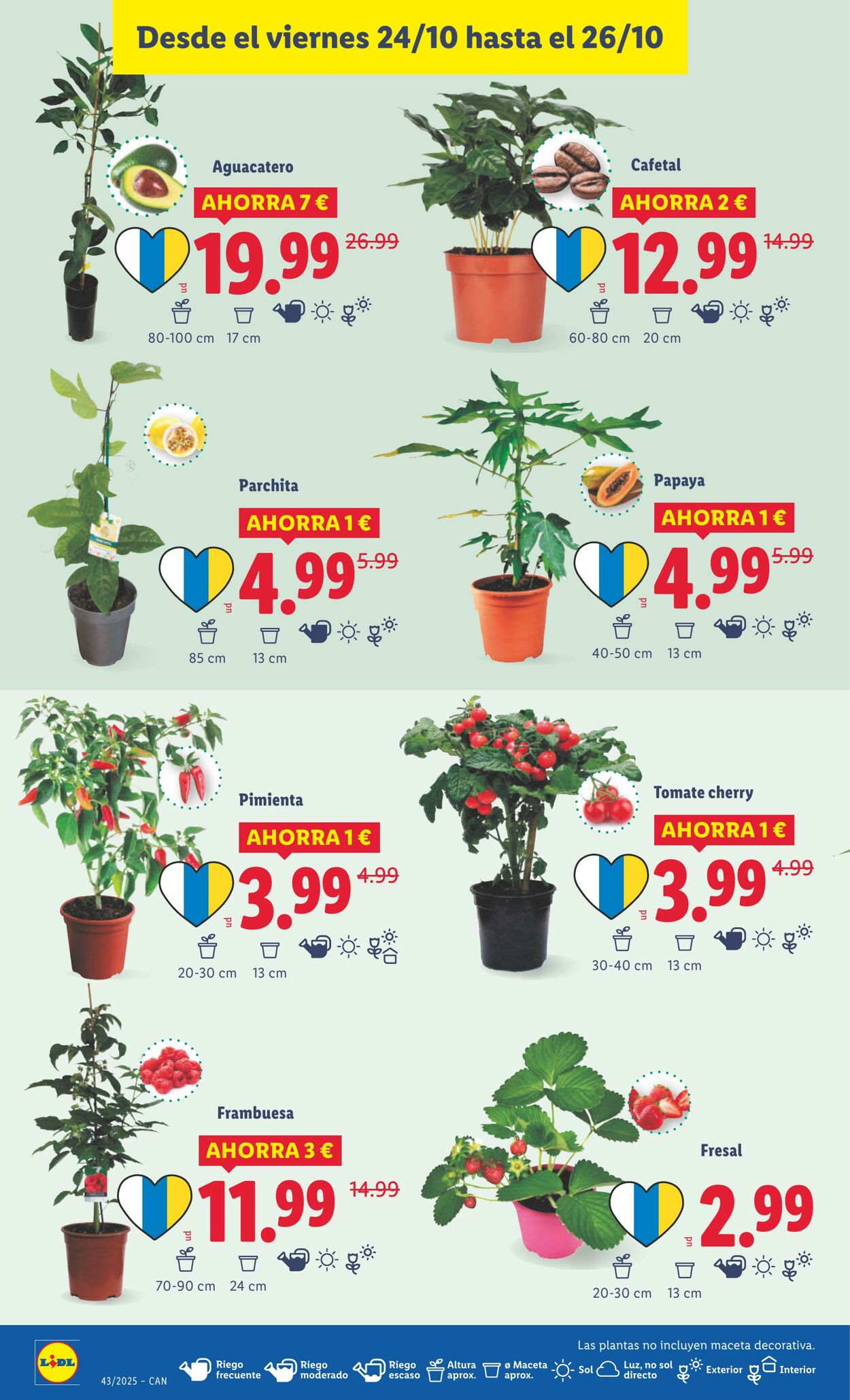 Folleto Lidl 20.10.2025 - 26.10.2025