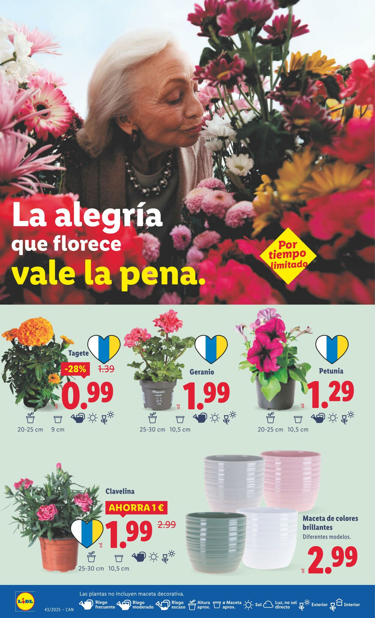 Folleto Lidl 20.10.2025 - 26.10.2025