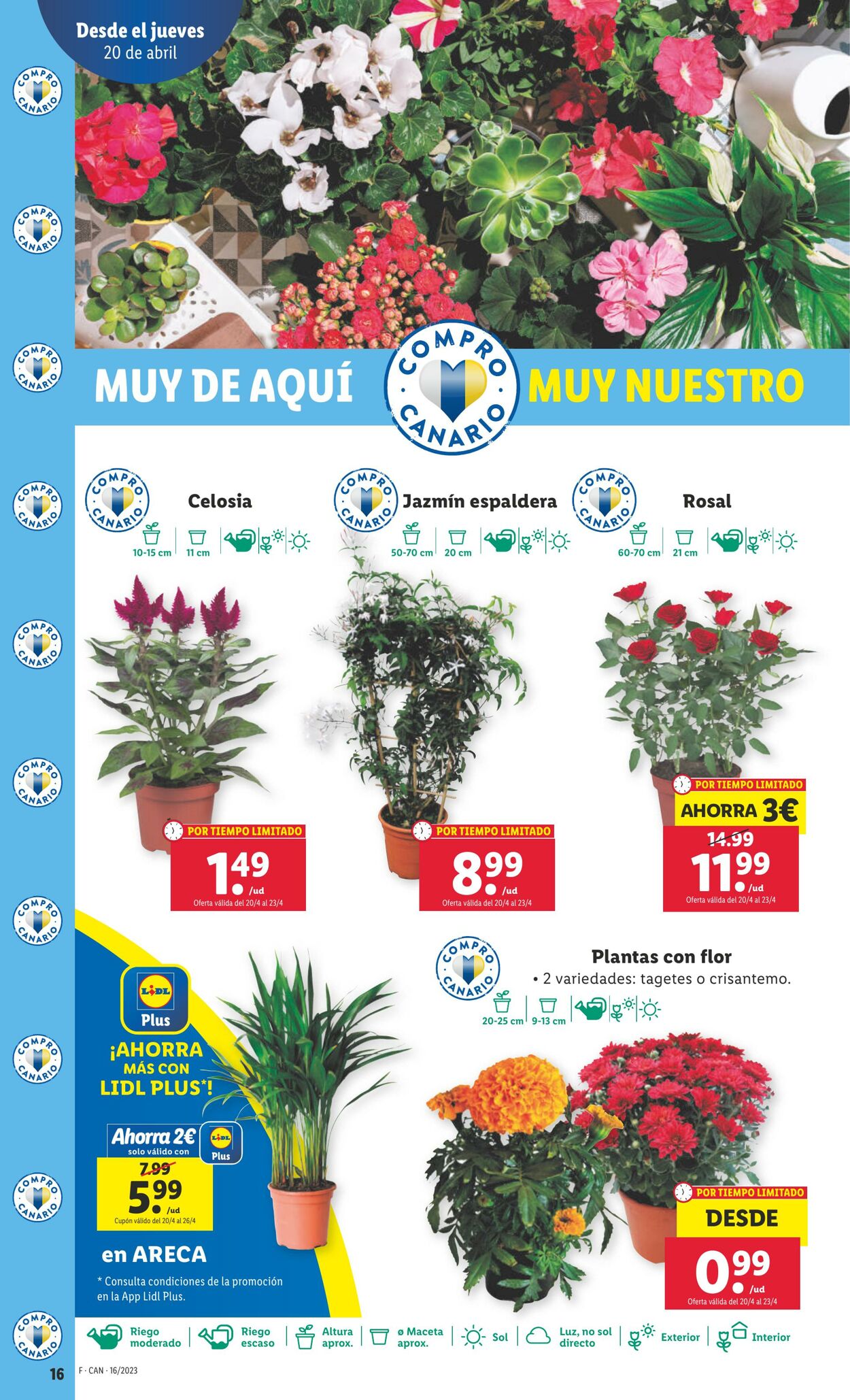 Folleto Lidl 20.04.2023 - 26.04.2023