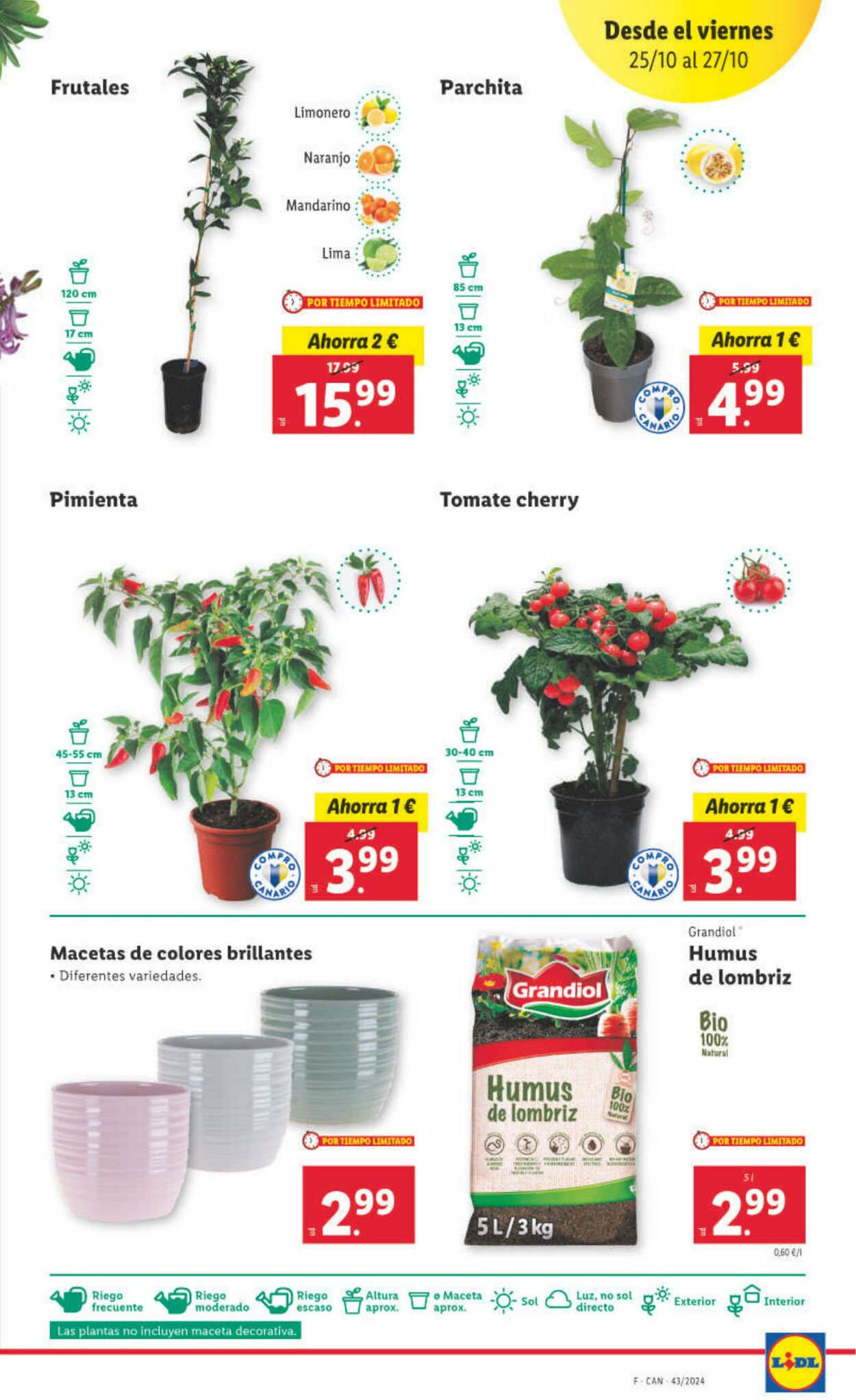 Folleto Lidl 21.10.2024 - 27.10.2024