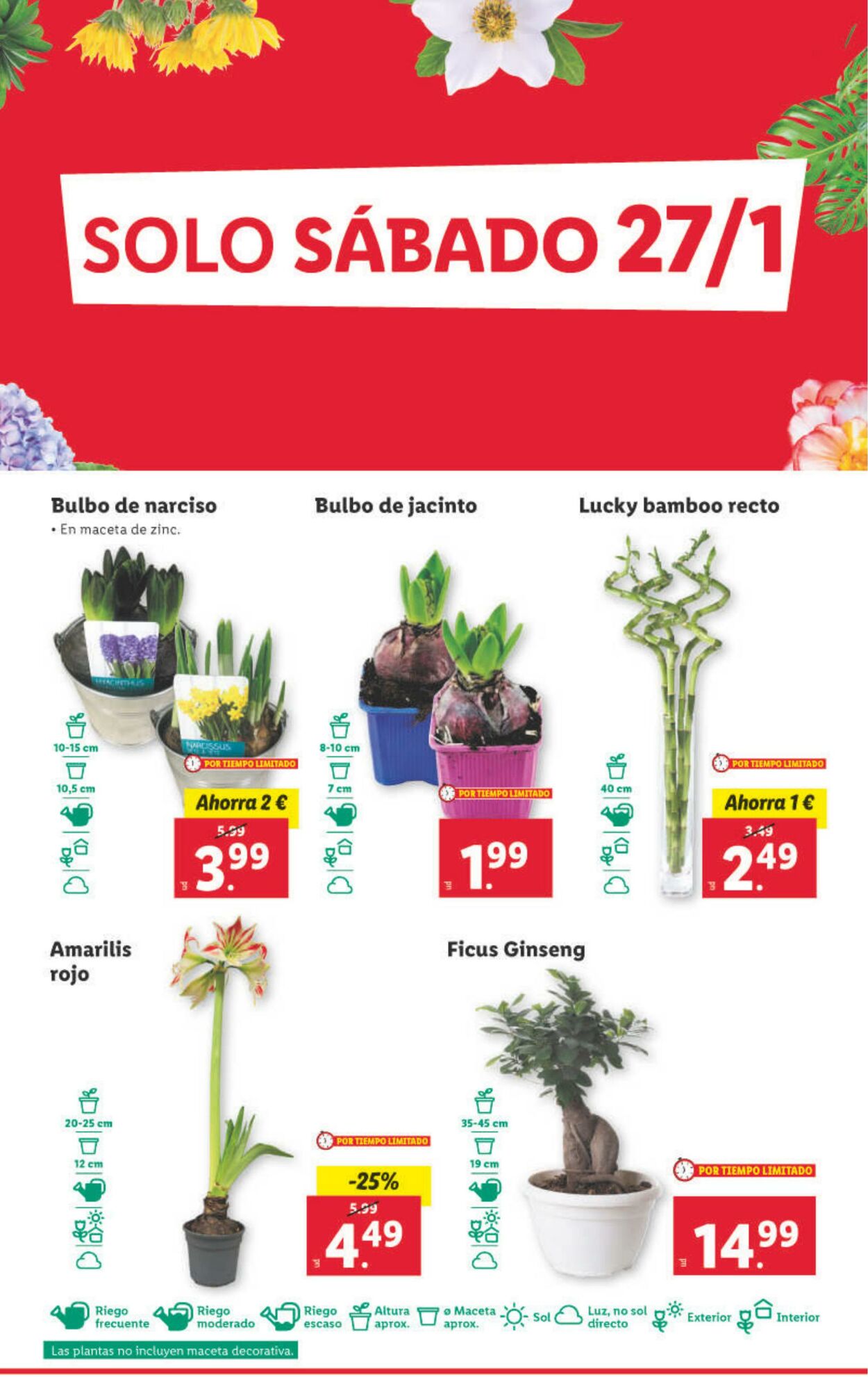 Folleto Lidl 22.01.2024 - 28.01.2024