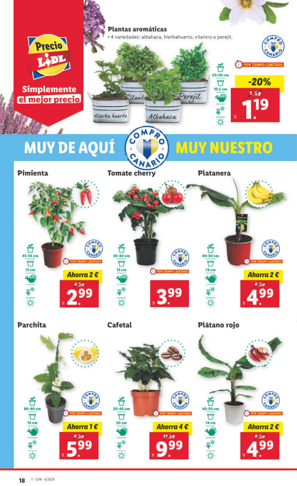 Folleto Lidl 22.01.2024 - 28.01.2024