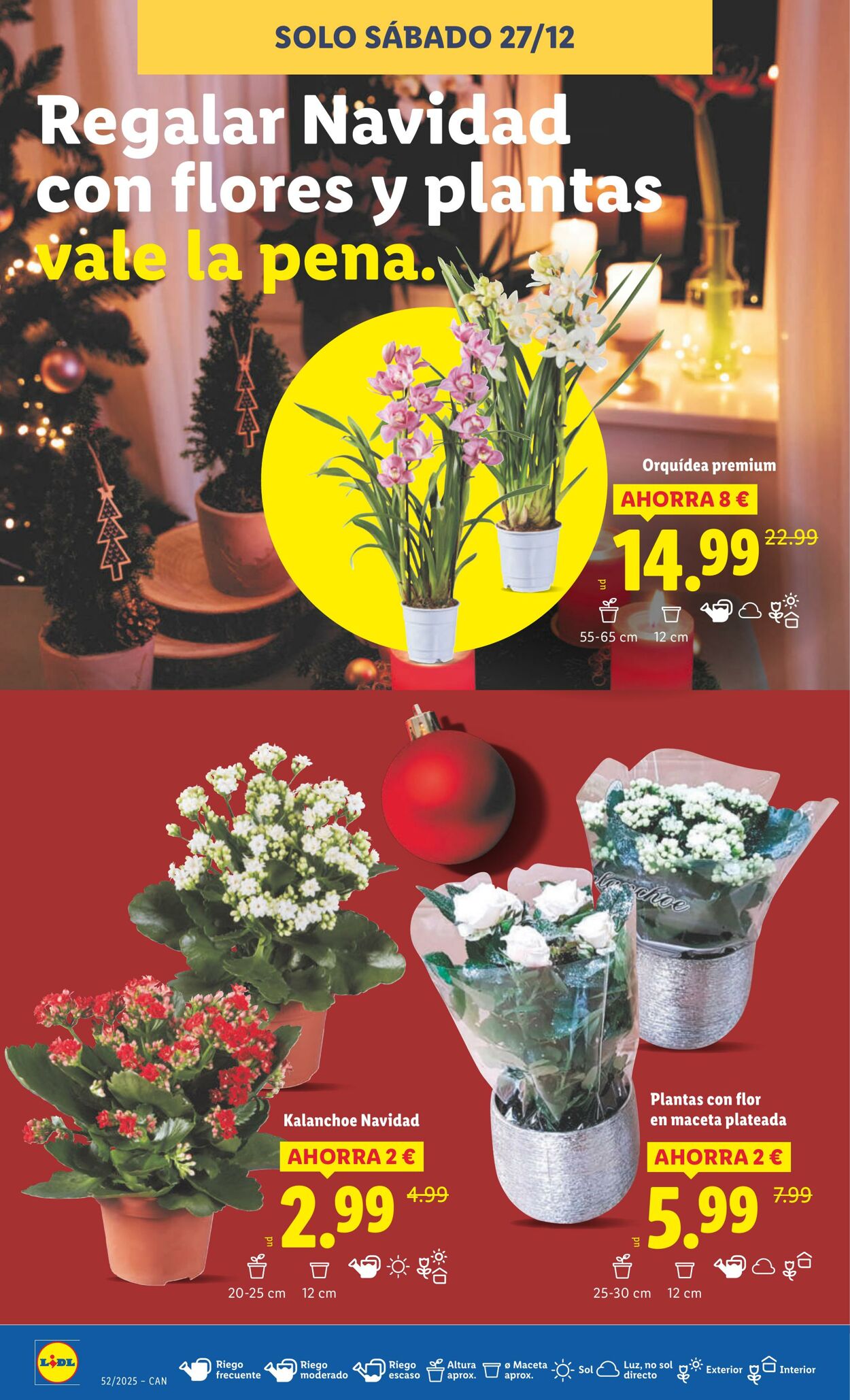 Folleto Lidl 22.12.2025 - 28.12.2025