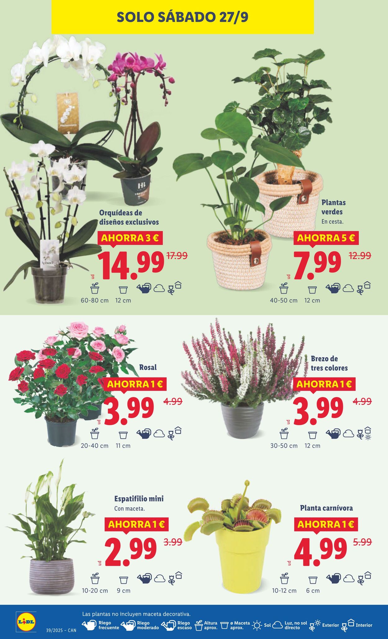Folleto Lidl 22.09.2025 - 28.09.2025
