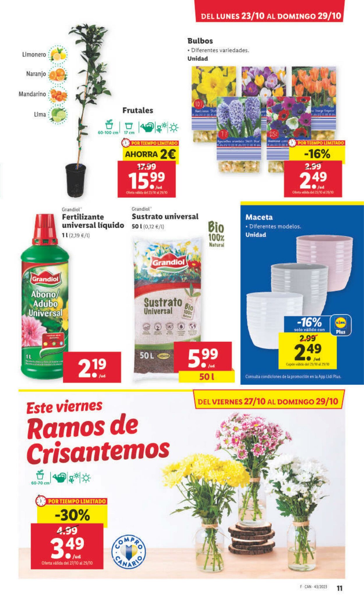 Folleto Lidl 23.10.2023 - 05.11.2023