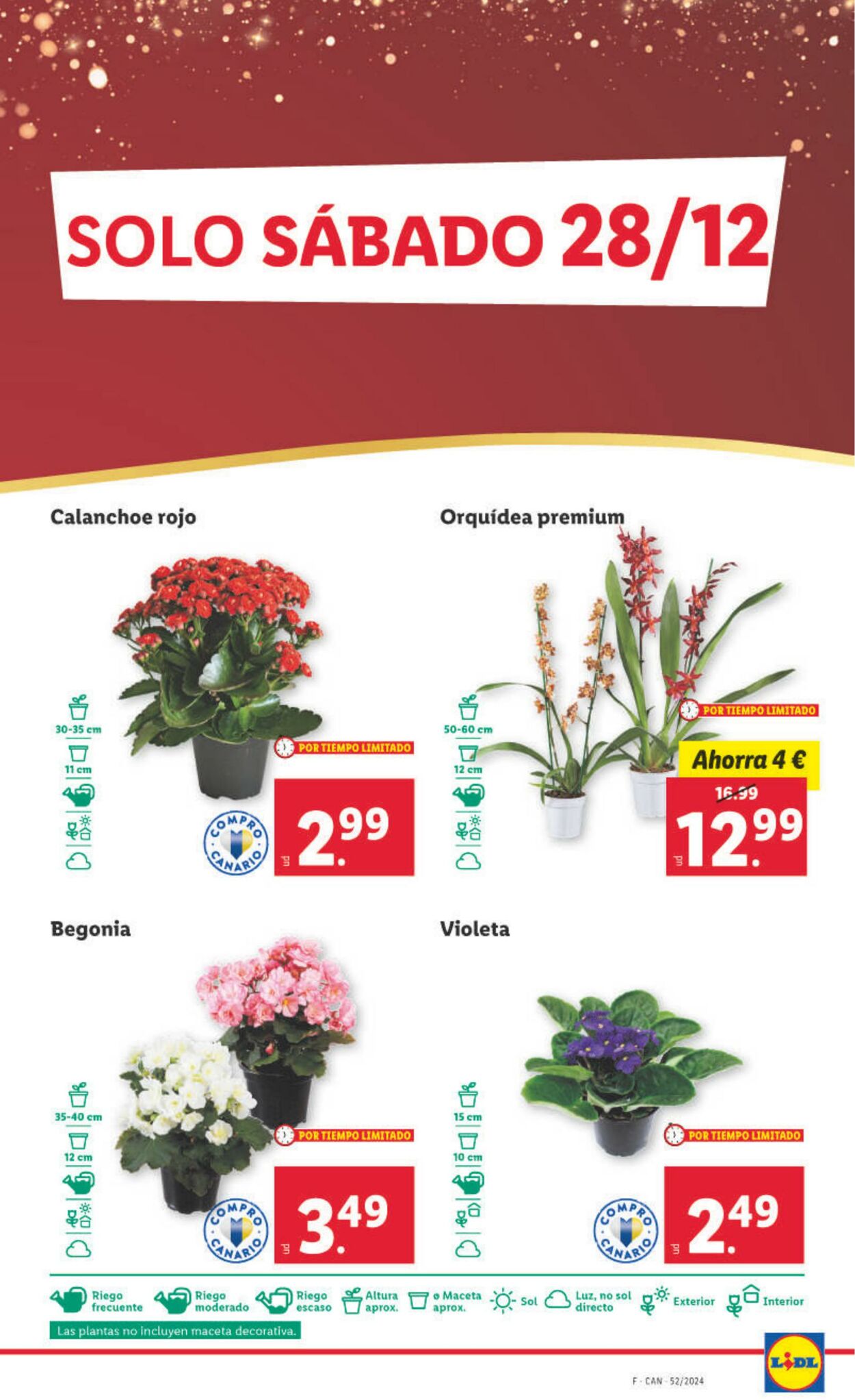 Folleto Lidl 23.12.2024 - 29.12.2024