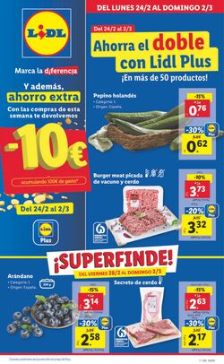 Folleto Lidl 21.10.2024 - 27.10.2024