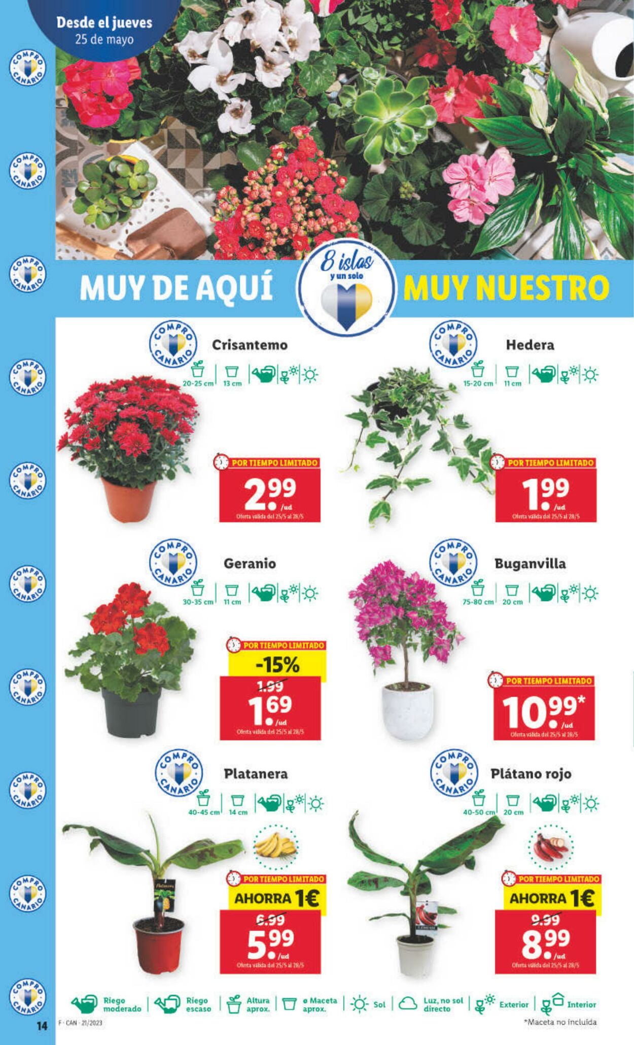 Folleto Lidl 25.05.2023 - 31.05.2023