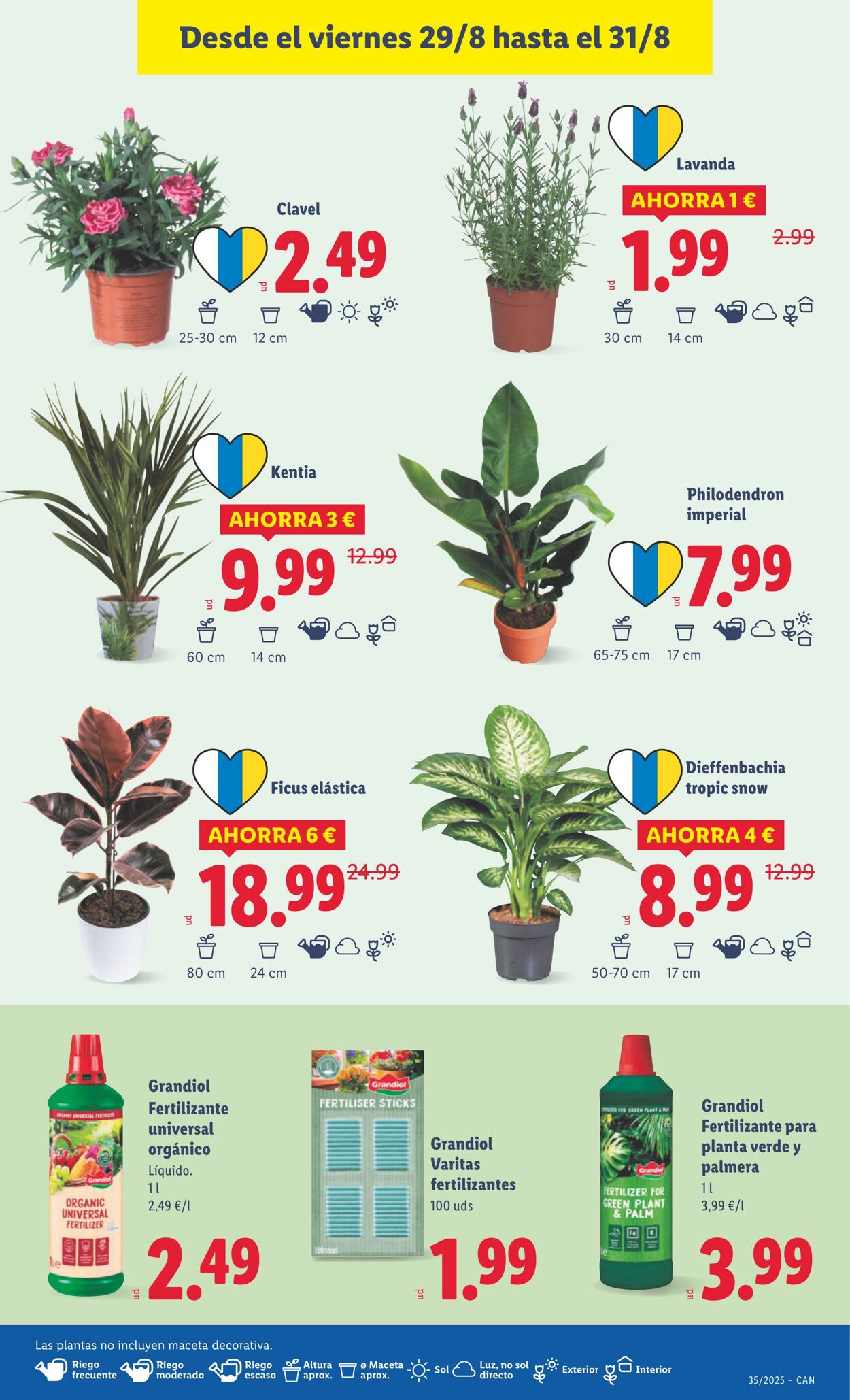 Folleto Lidl 25.08.2025 - 31.08.2025