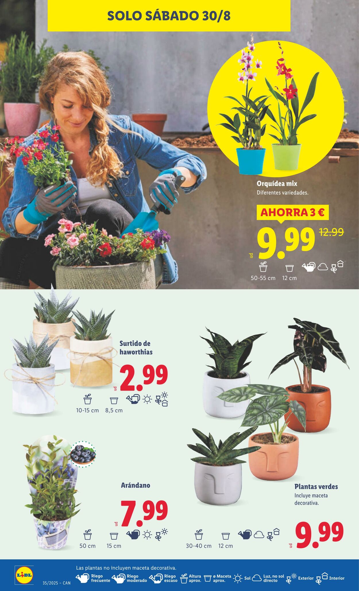 Folleto Lidl 25.08.2025 - 31.08.2025