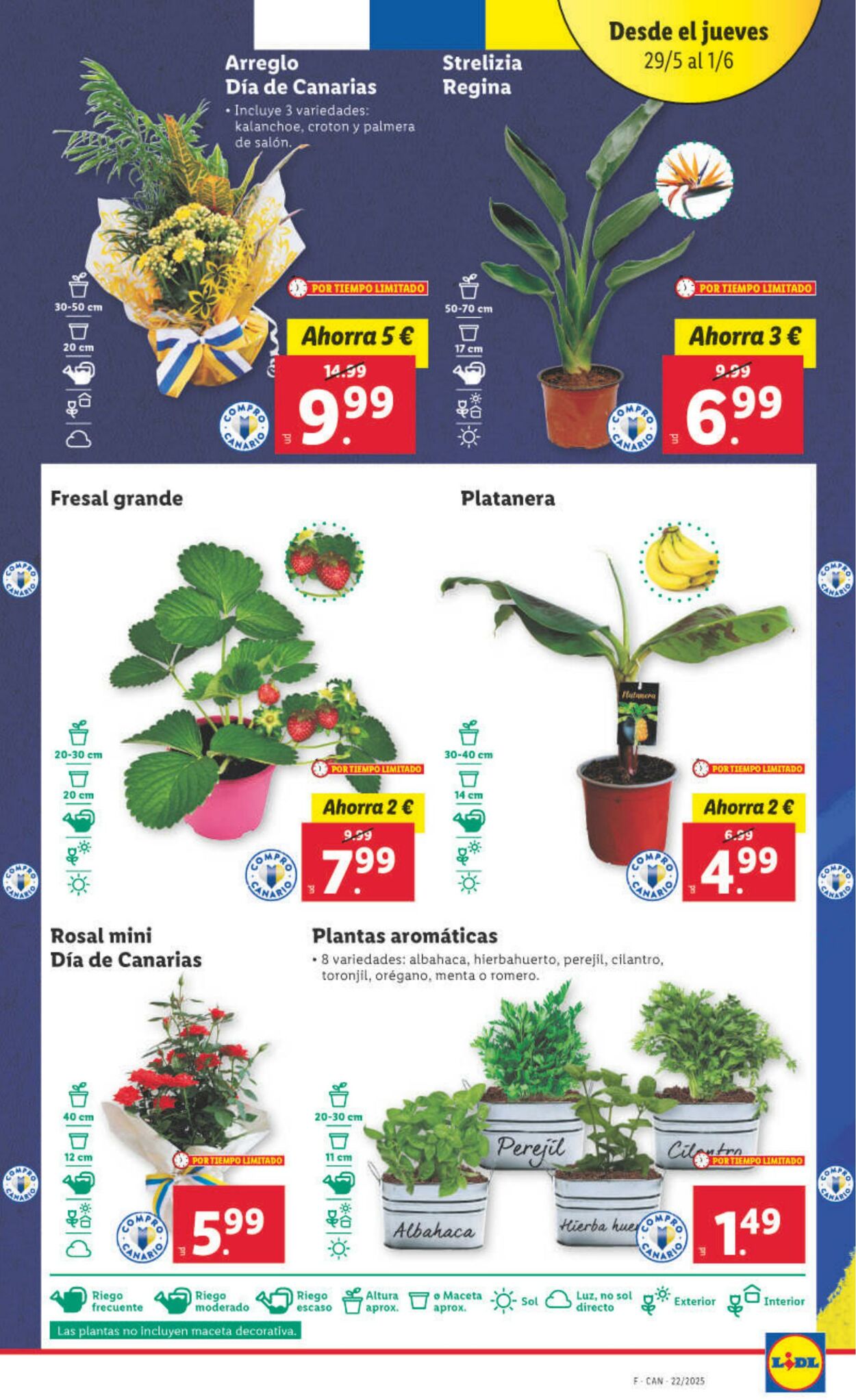 Folleto Lidl 26.05.2025 - 01.06.2025