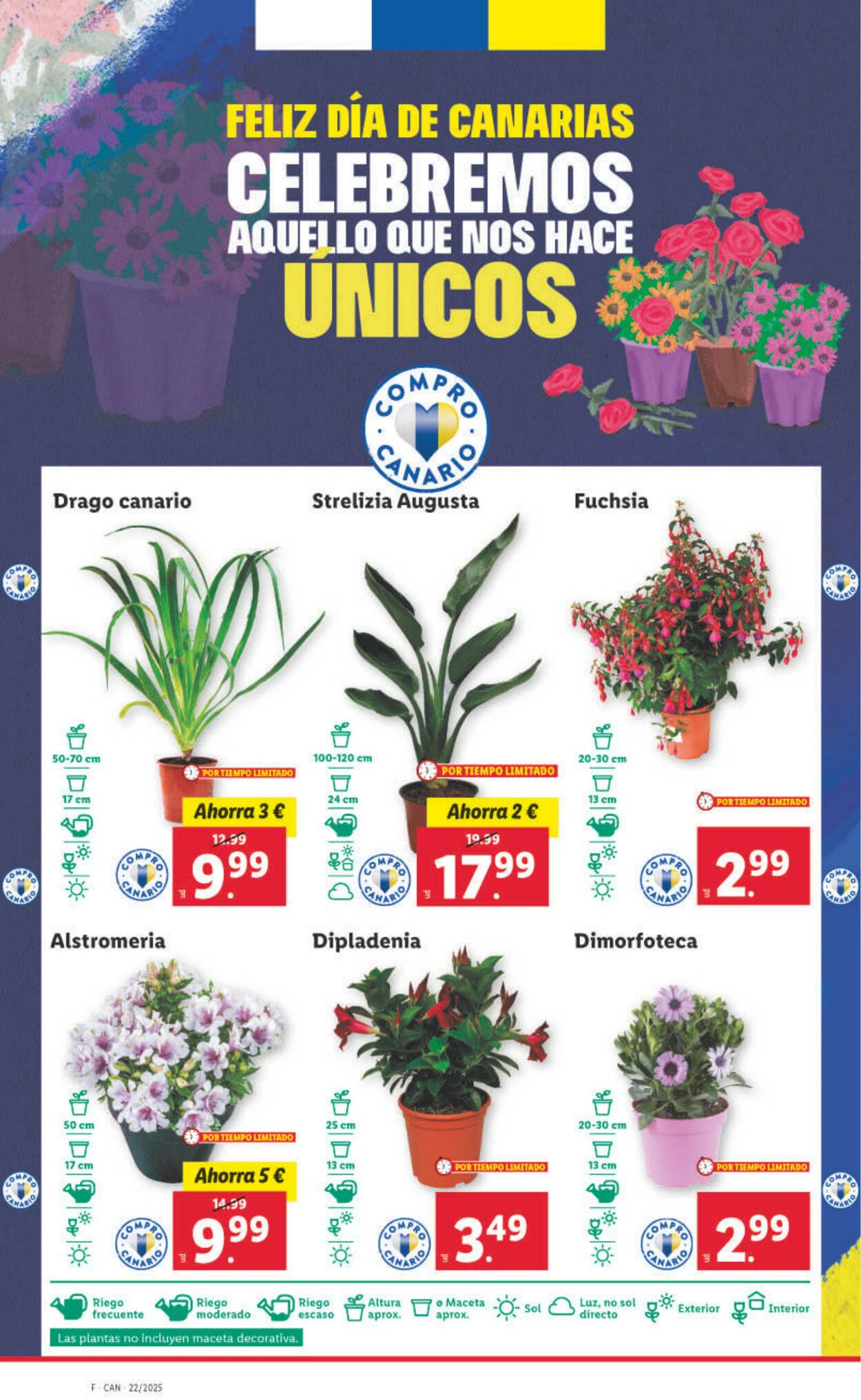 Folleto Lidl 26.05.2025 - 01.06.2025