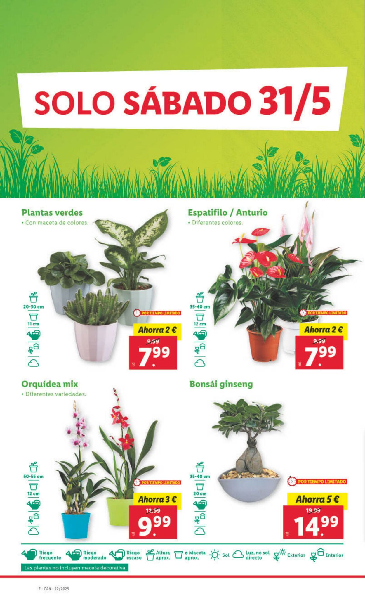 Folleto Lidl 26.05.2025 - 01.06.2025