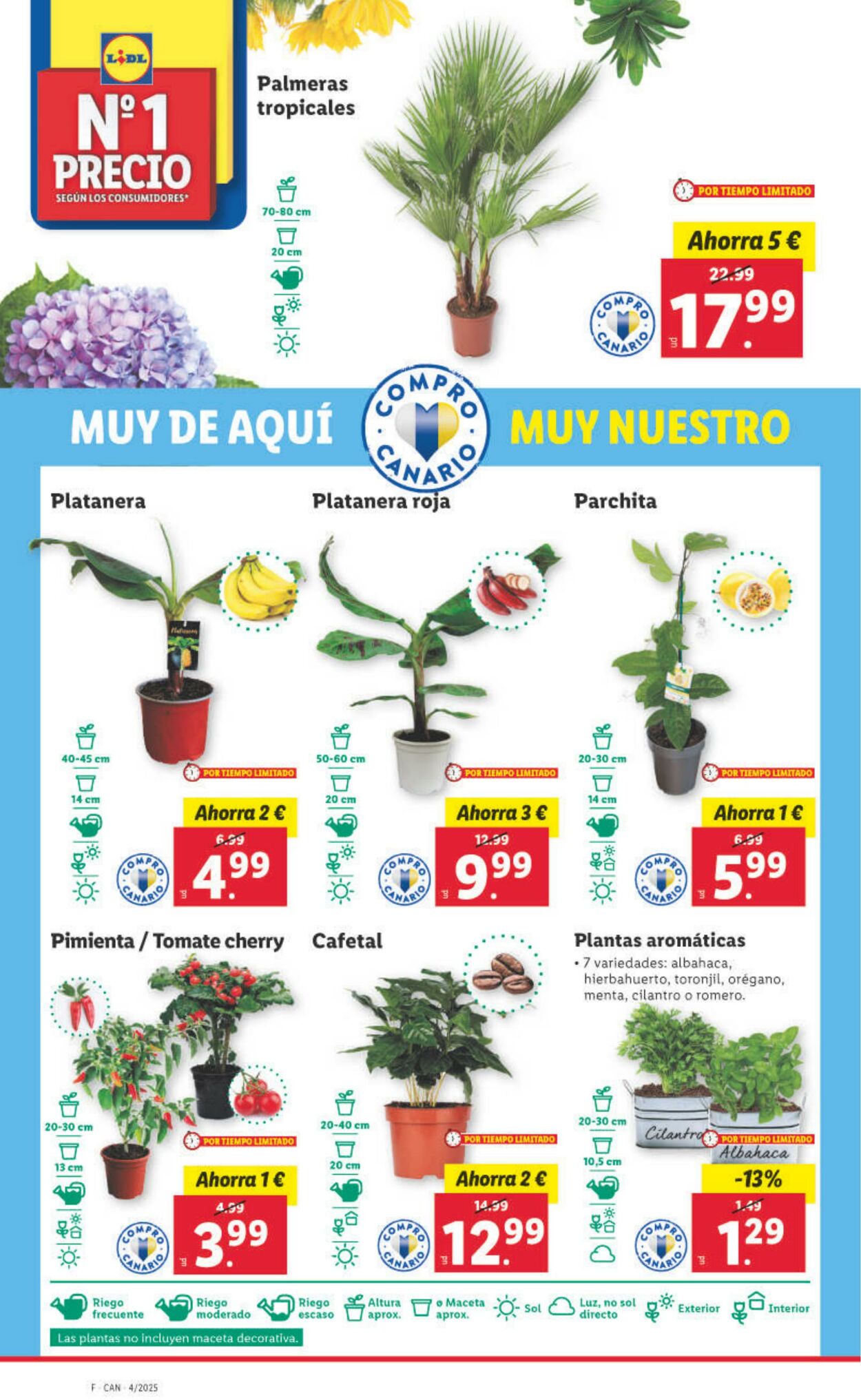 Folleto Lidl 27.01.2025 - 02.02.2025