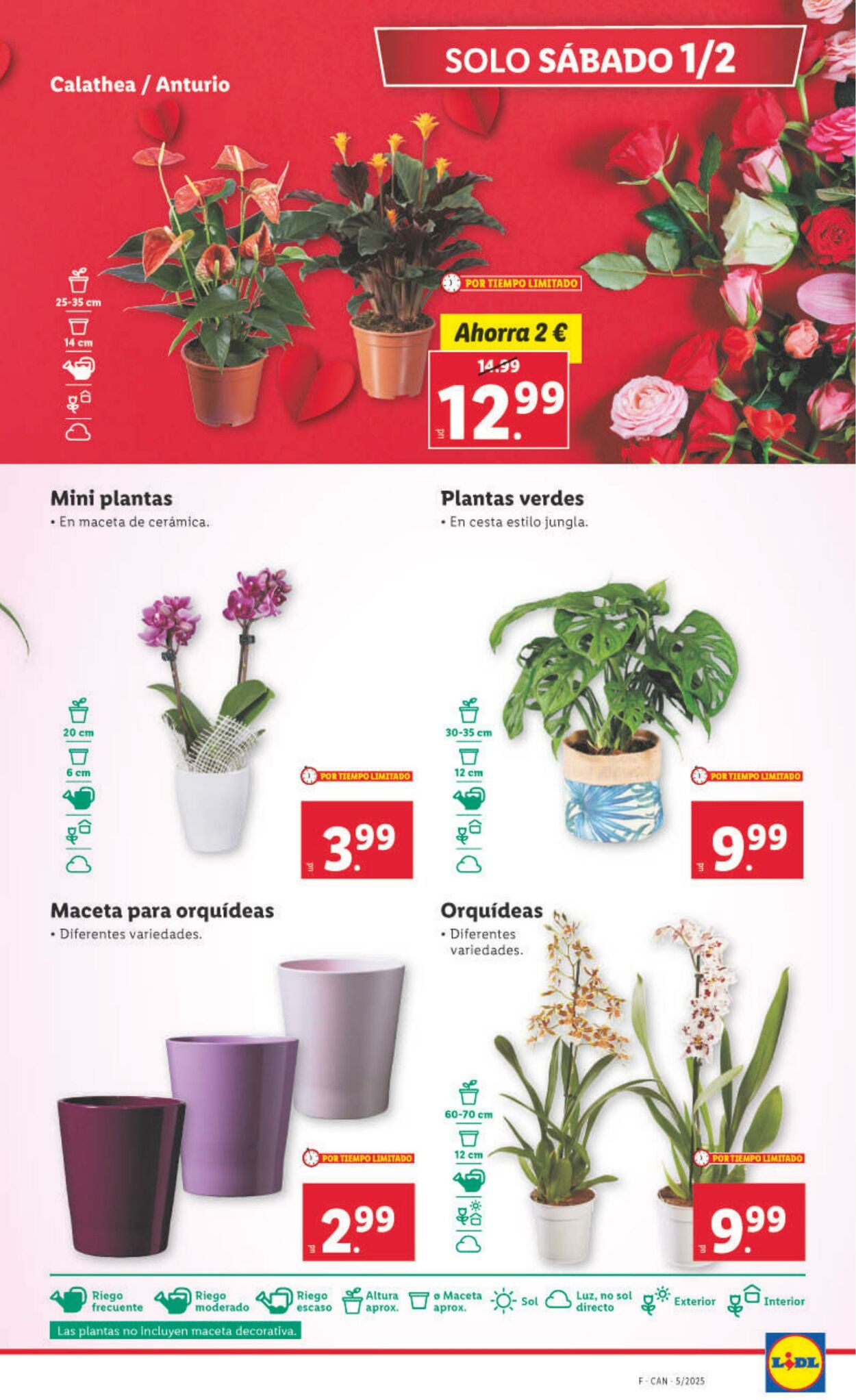 Folleto Lidl 27.01.2025 - 02.02.2025