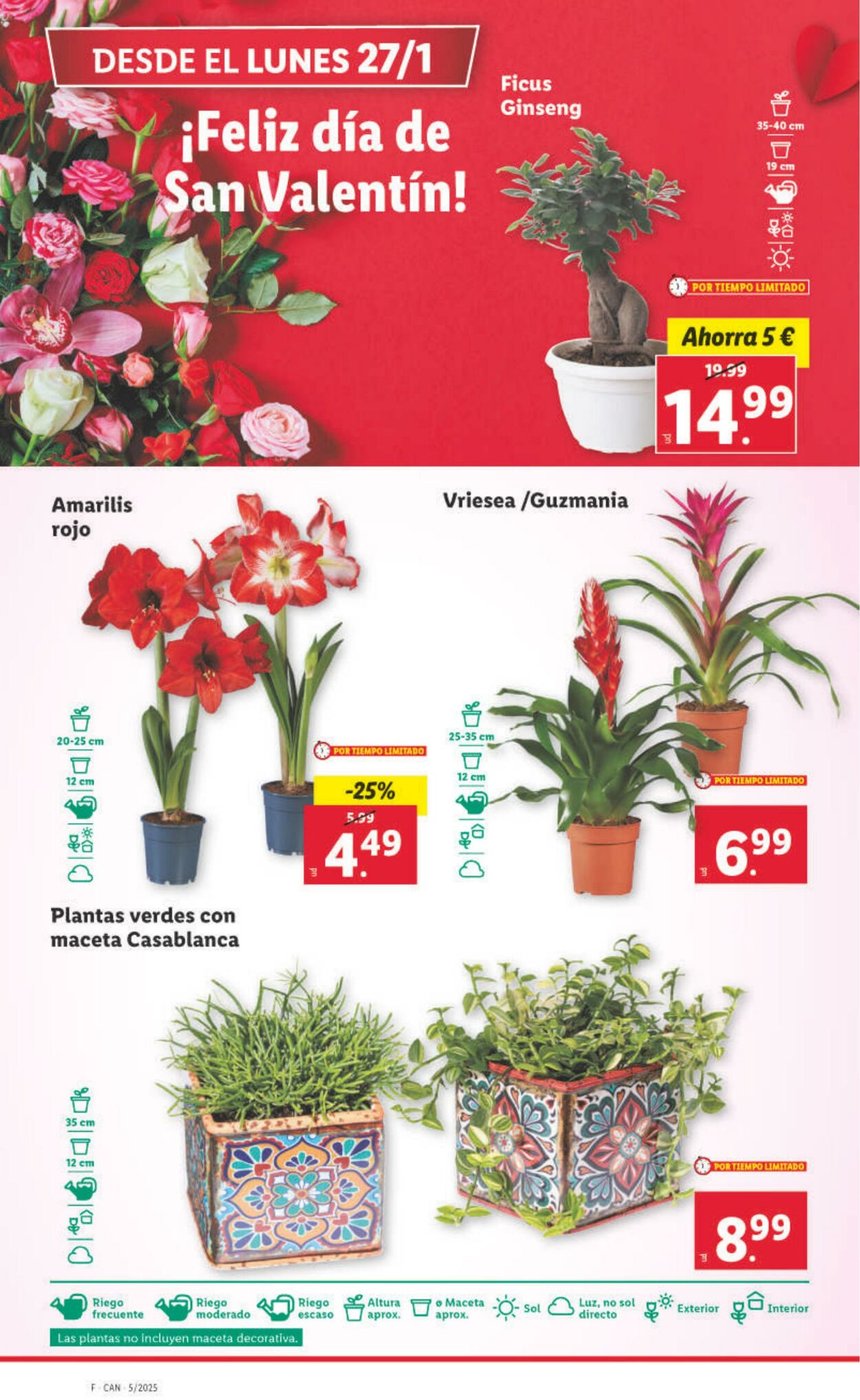 Folleto Lidl 27.01.2025 - 02.02.2025