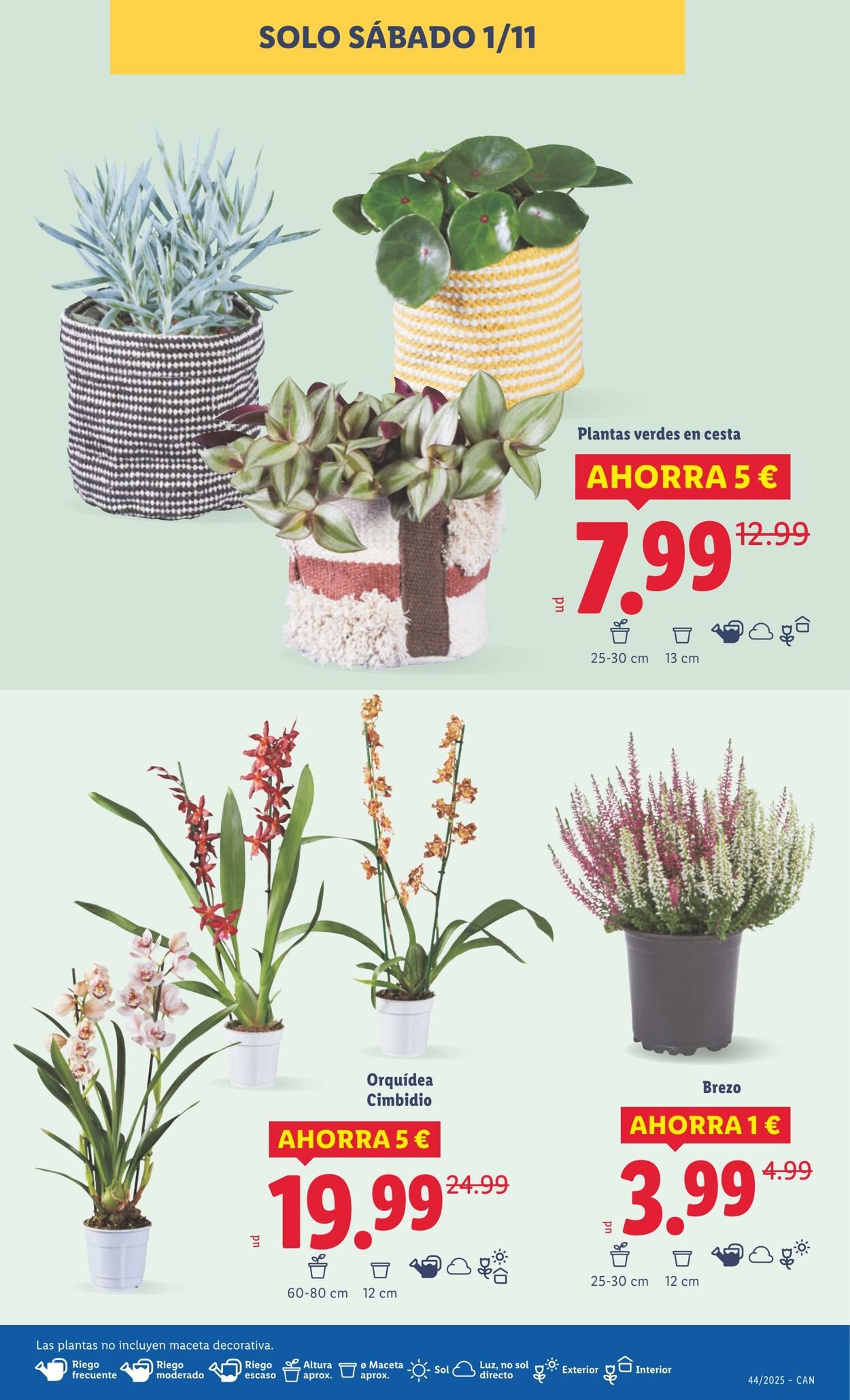 Folleto Lidl 27.10.2025 - 02.11.2025