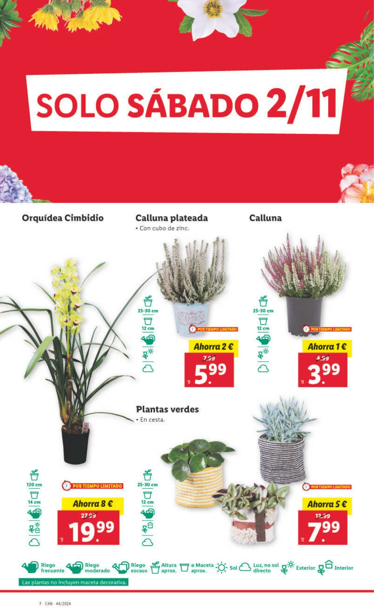 Folleto Lidl 28.10.2024 - 03.11.2024