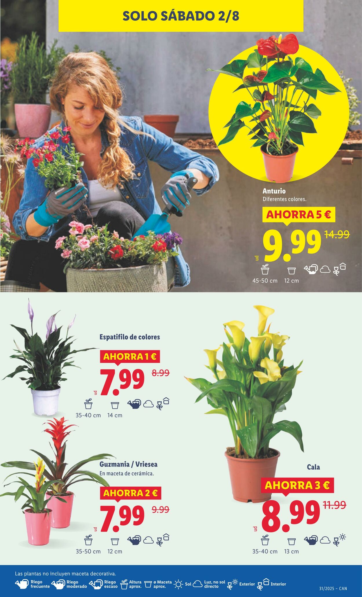 Folleto Lidl 28.07.2025 - 03.08.2025