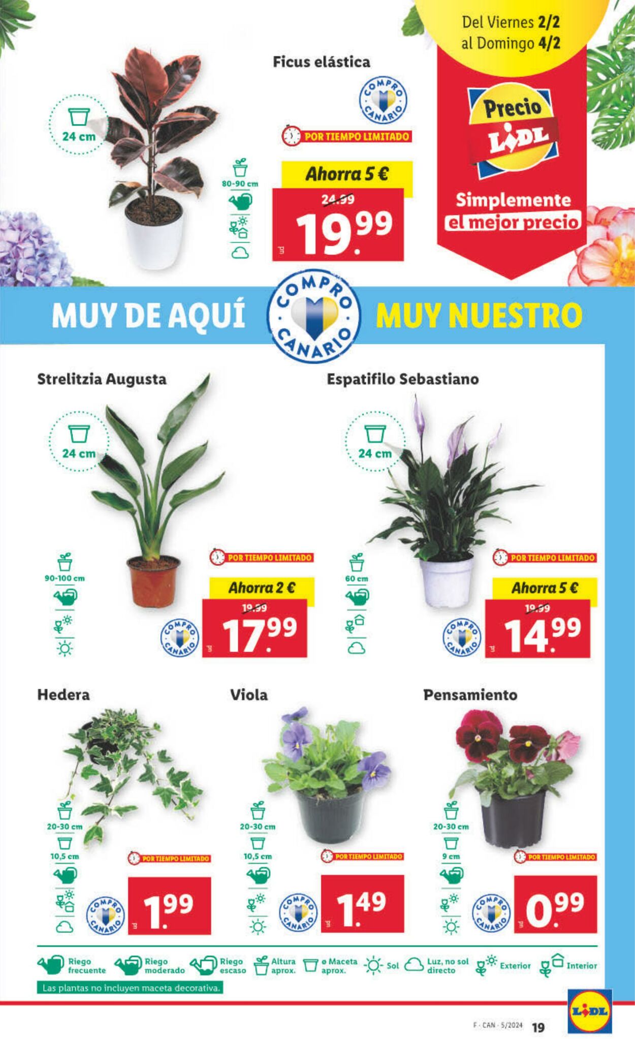 Folleto Lidl 29.01.2024 - 04.02.2024