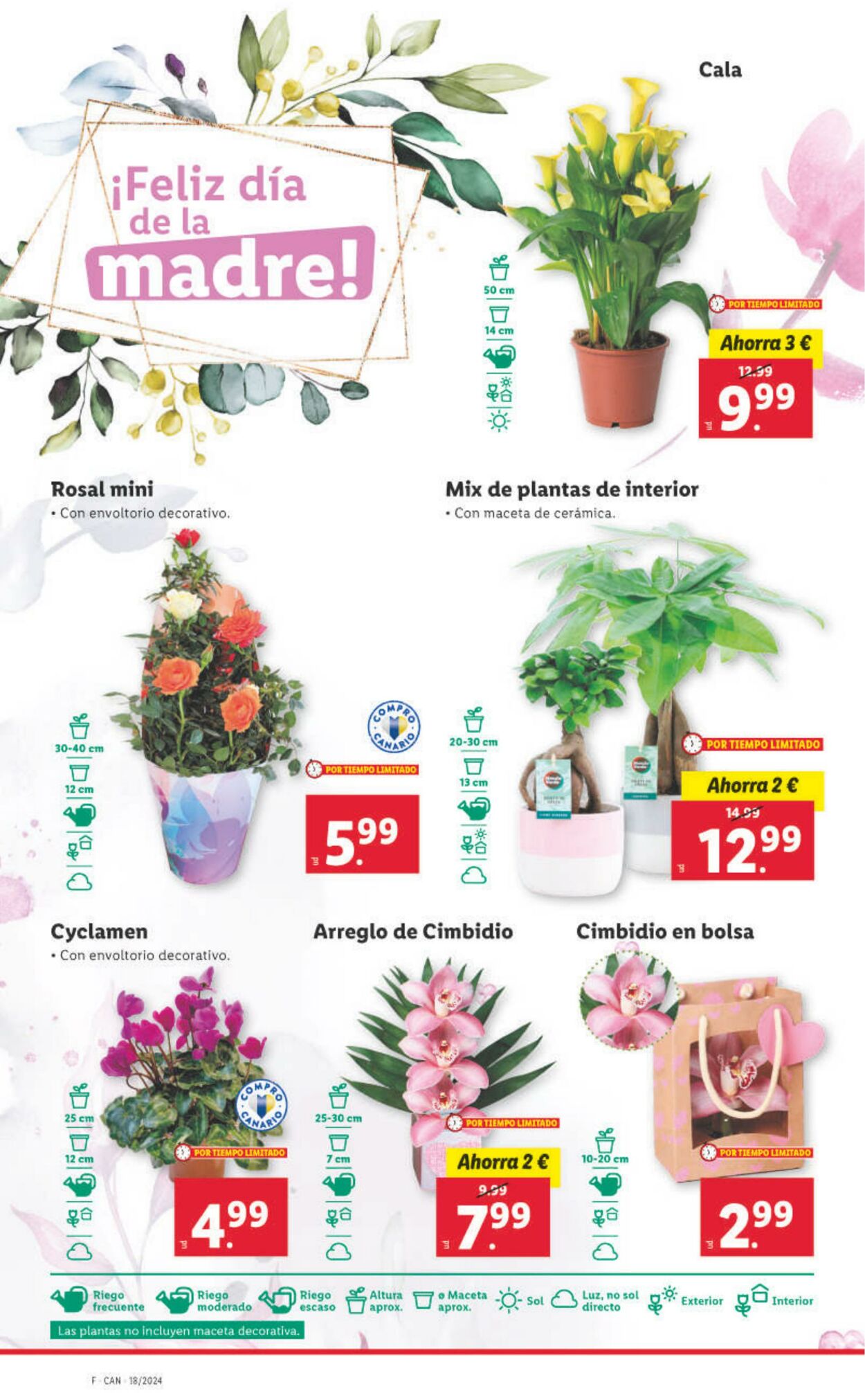 Folleto Lidl 29.04.2024 - 05.05.2024