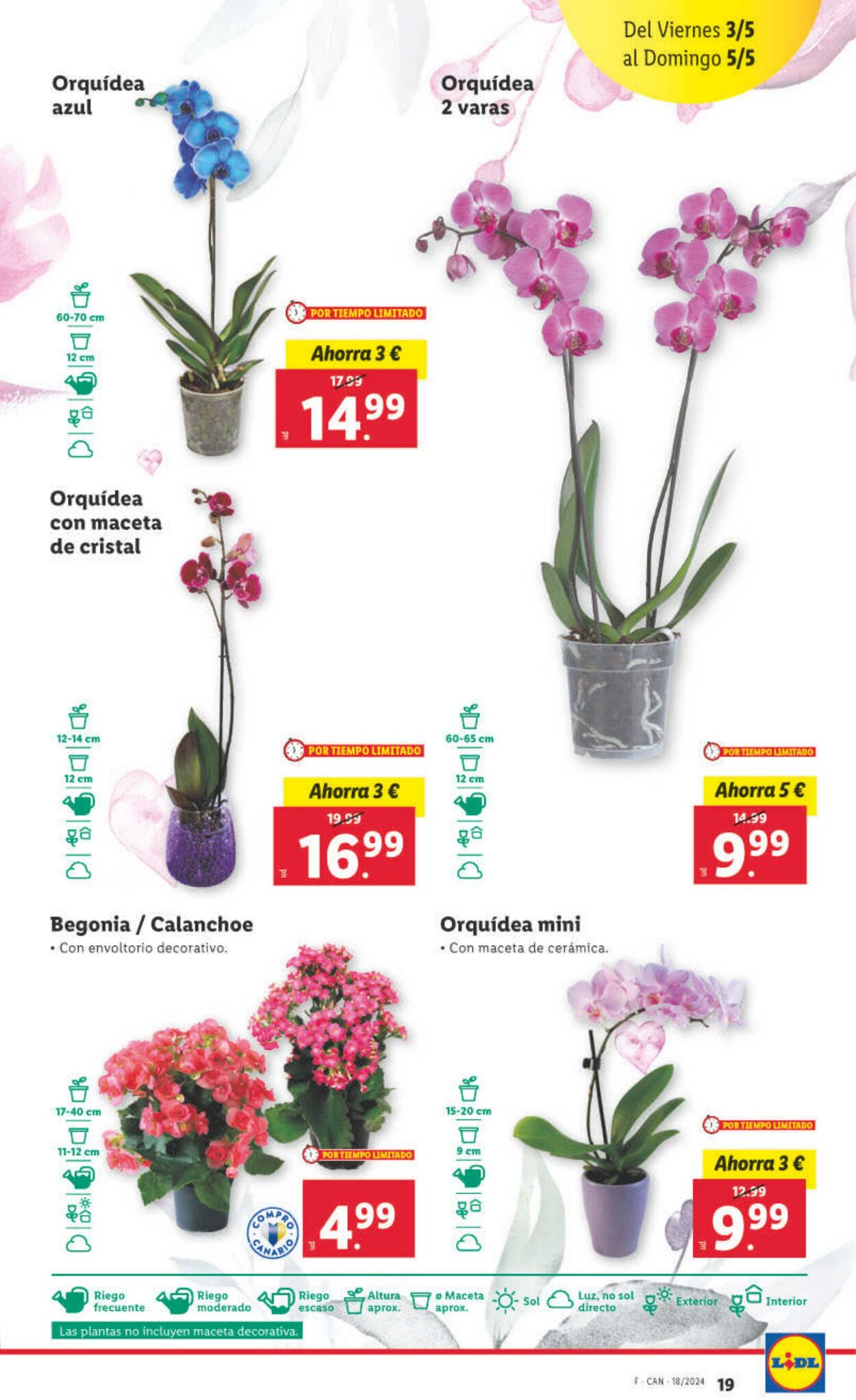 Folleto Lidl 29.04.2024 - 05.05.2024