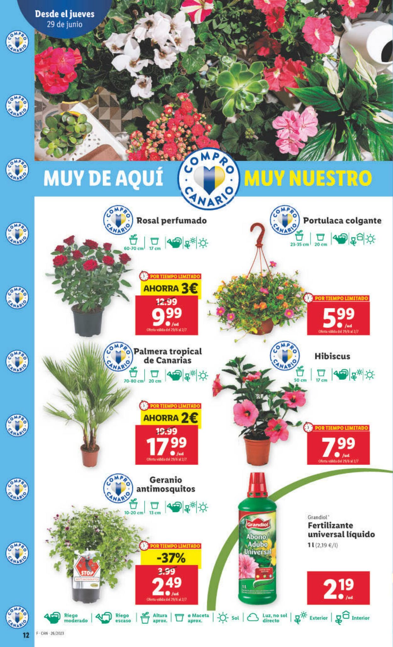 Folleto Lidl 29.06.2023 - 05.07.2023