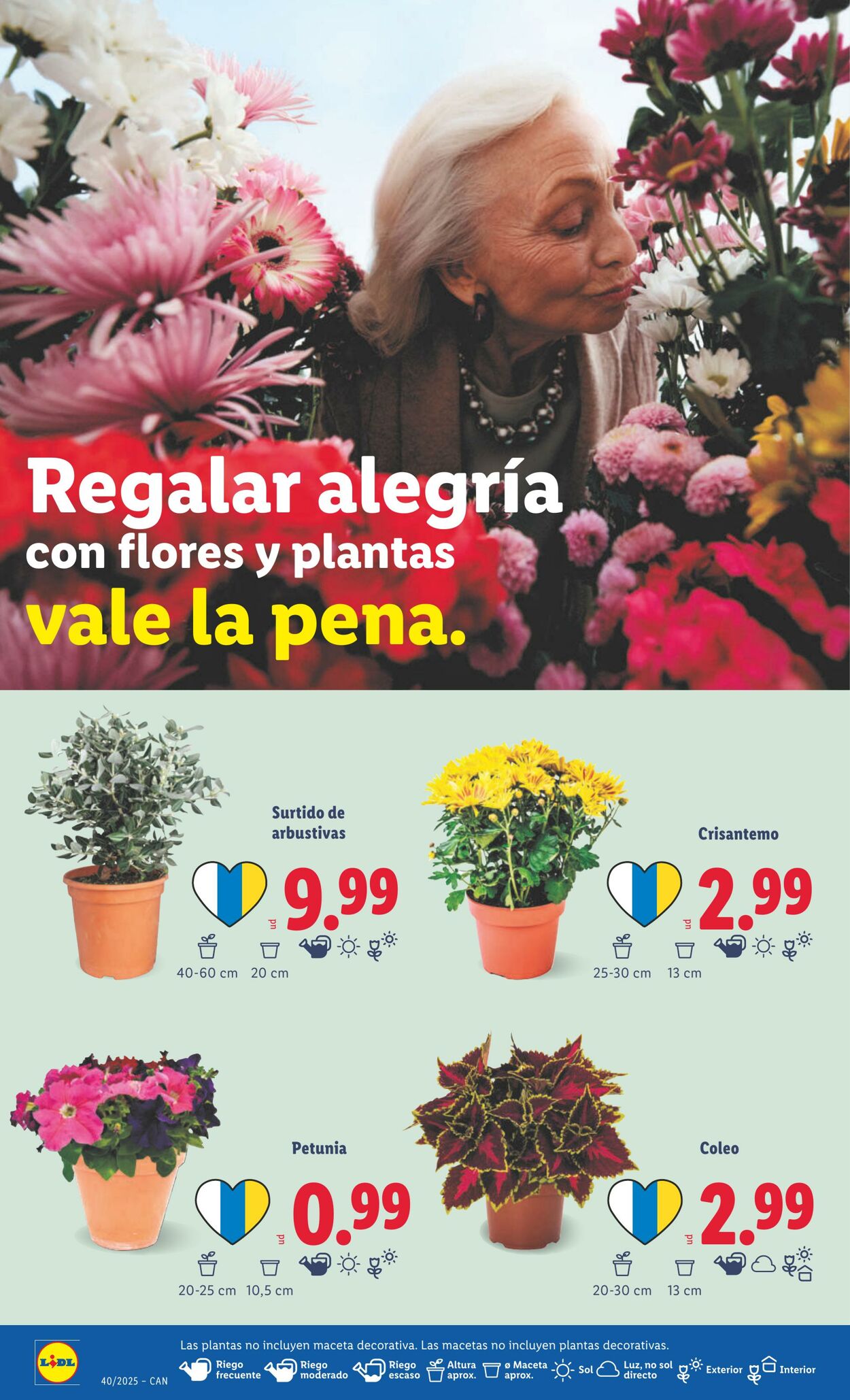 Folleto Lidl 29.09.2025 - 05.10.2025
