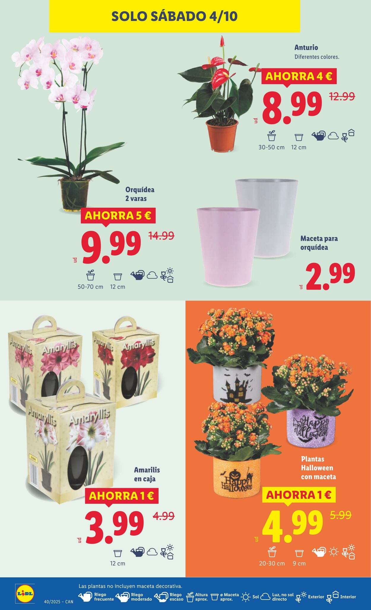 Folleto Lidl 29.09.2025 - 05.10.2025