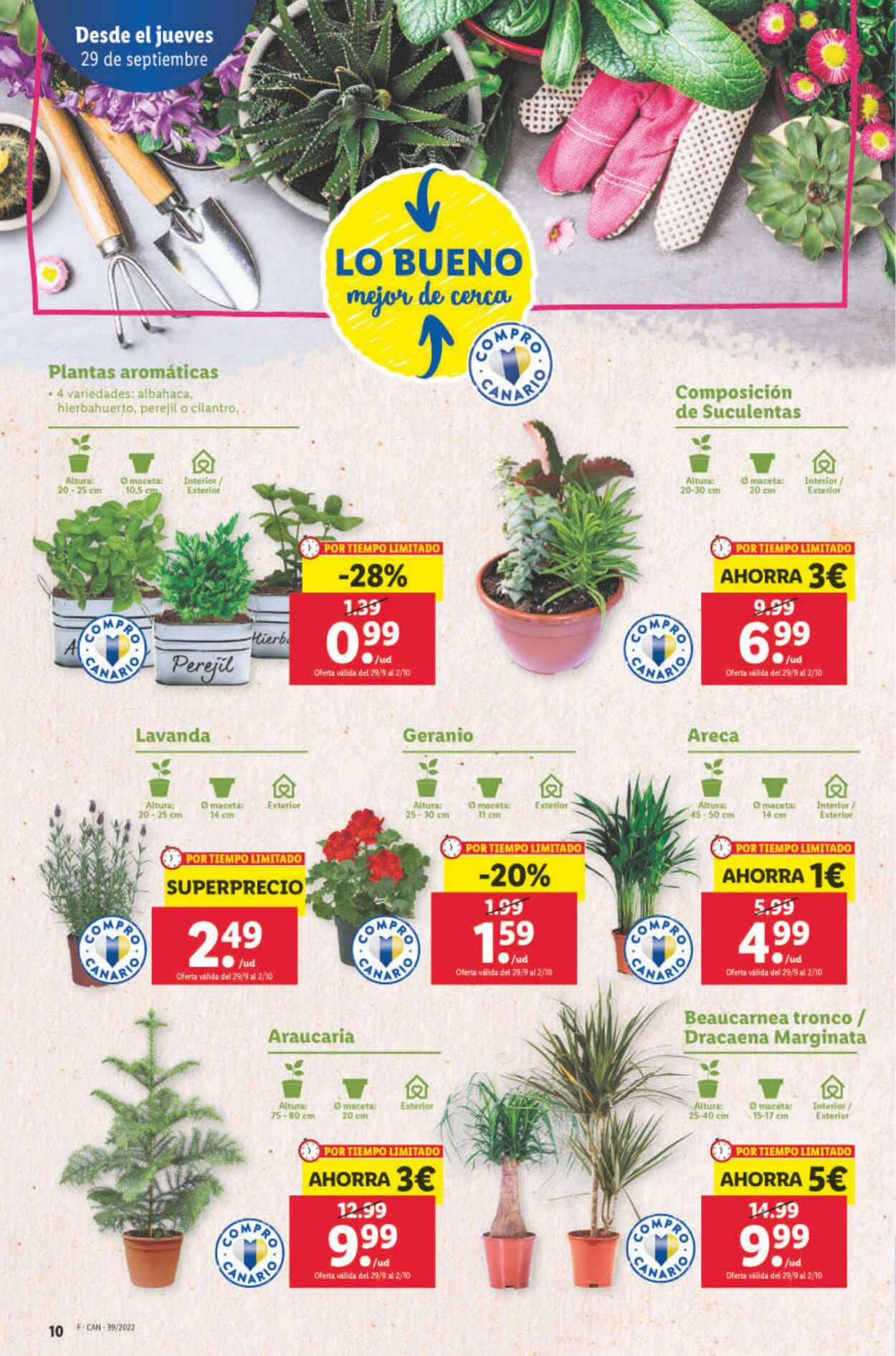 Folleto Lidl 29.09.2022 - 05.10.2022