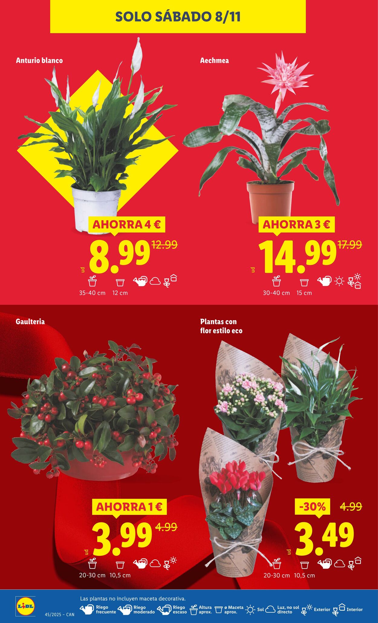 Folleto Lidl 03.11.2025 - 09.11.2025
