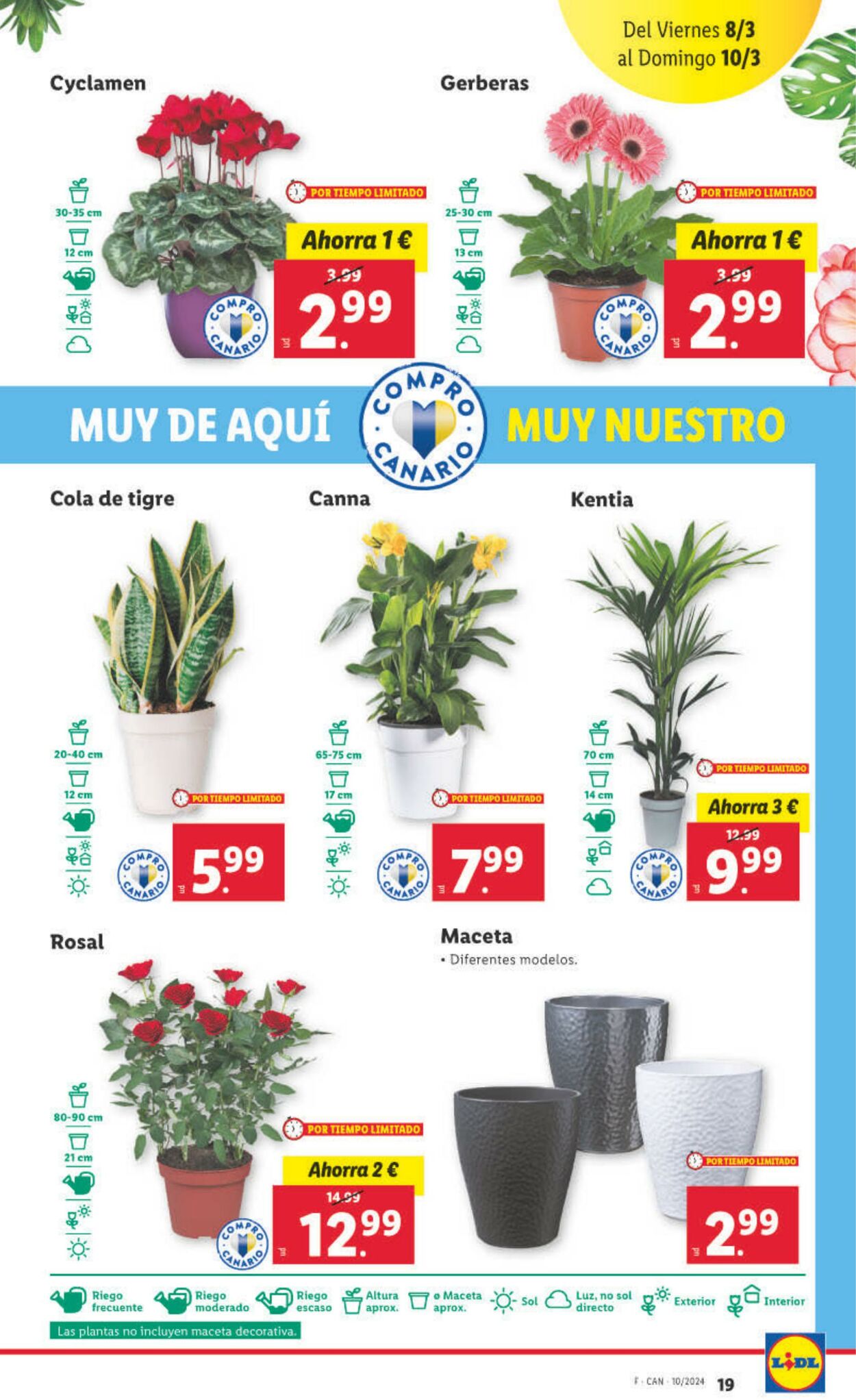 Folleto Lidl 04.03.2024 - 10.03.2024