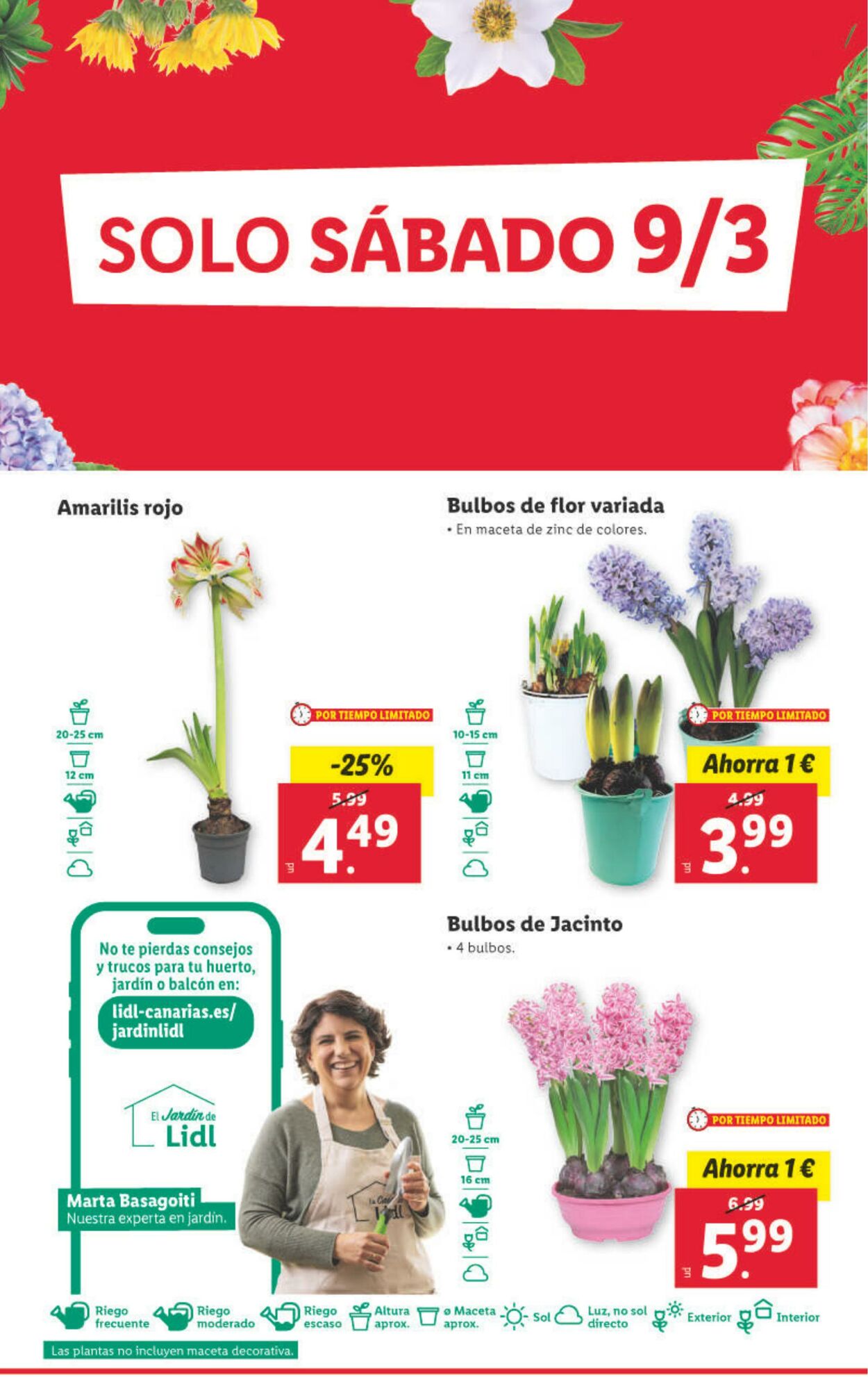 Folleto Lidl 04.03.2024 - 10.03.2024