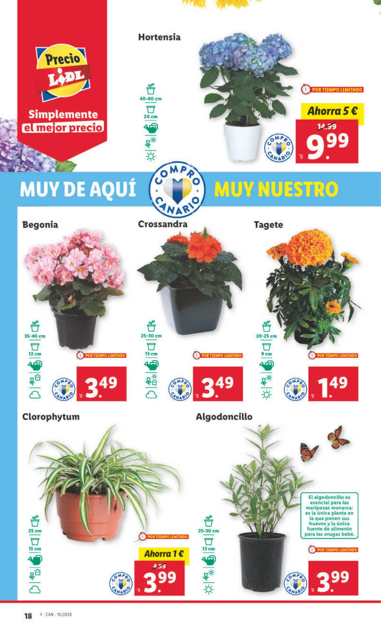 Folleto Lidl 04.03.2024 - 10.03.2024