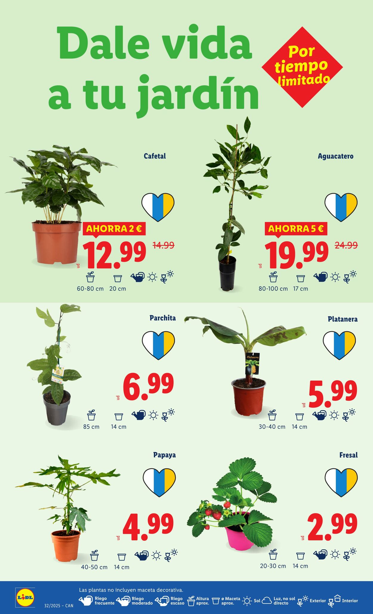 Folleto Lidl 04.08.2025 - 10.08.2025