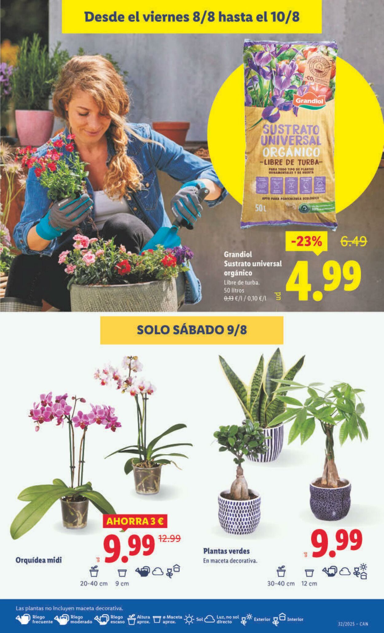 Folleto Lidl 04.08.2025 - 10.08.2025
