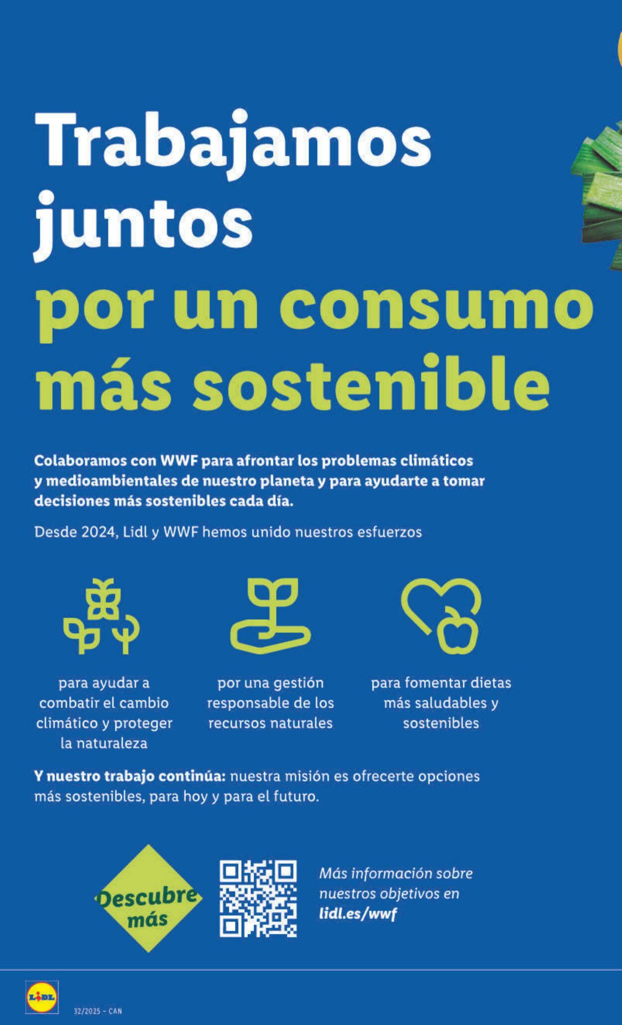 Folleto Lidl 04.08.2025 - 10.08.2025
