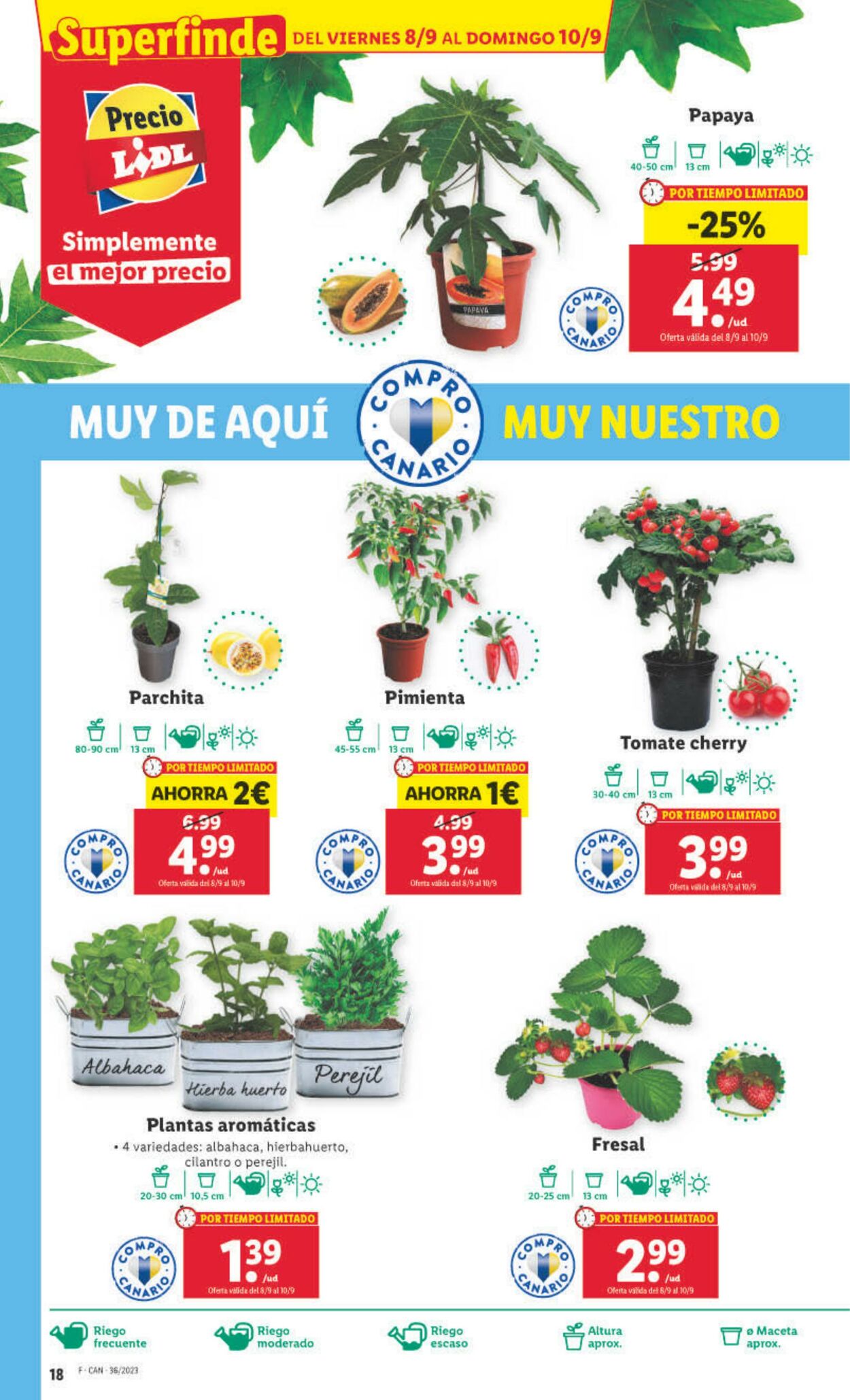 Folleto Lidl 04.09.2023 - 10.09.2023