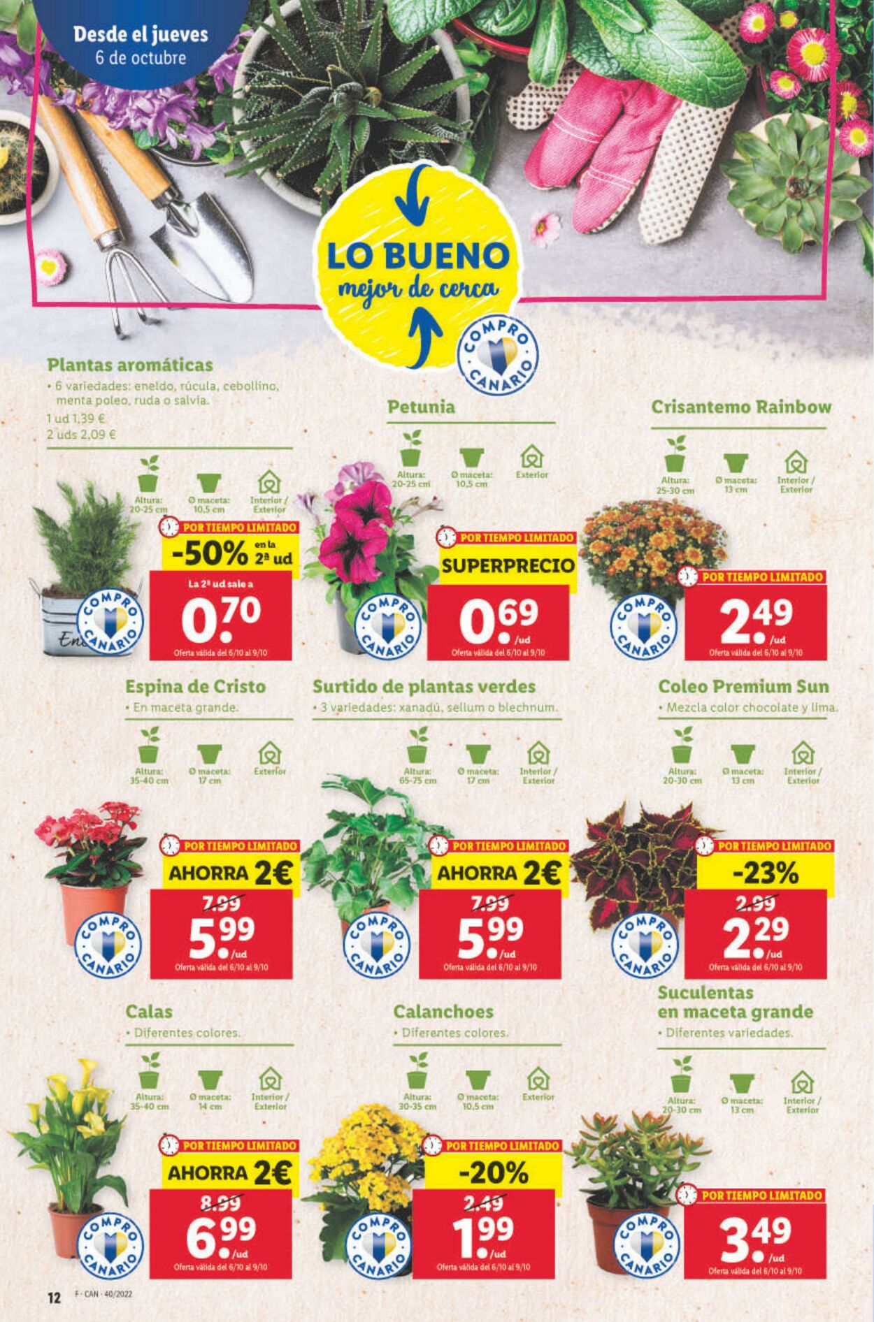 Folleto Lidl 06.10.2022 - 12.10.2022