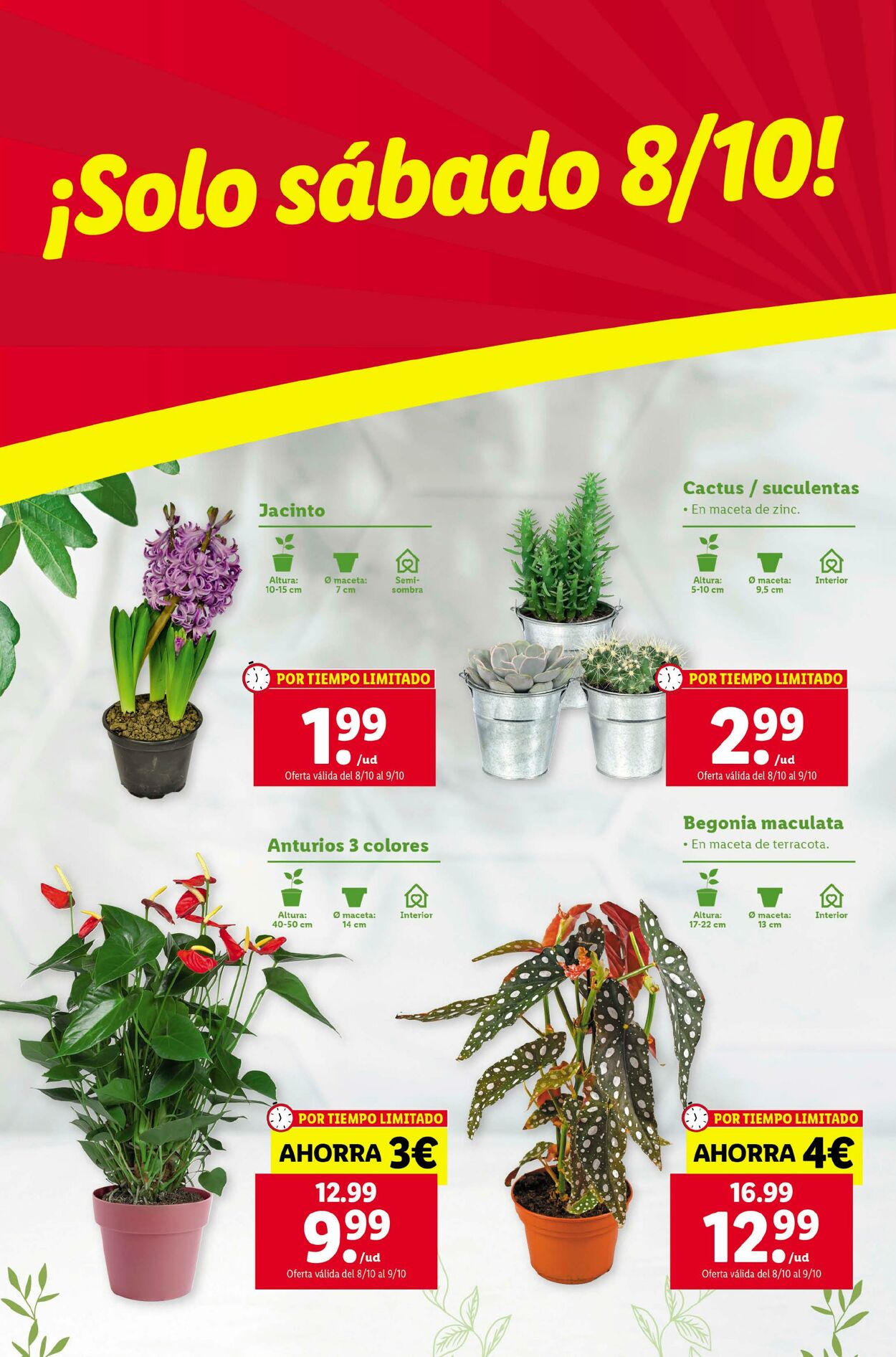 Folleto Lidl 06.10.2022 - 12.10.2022