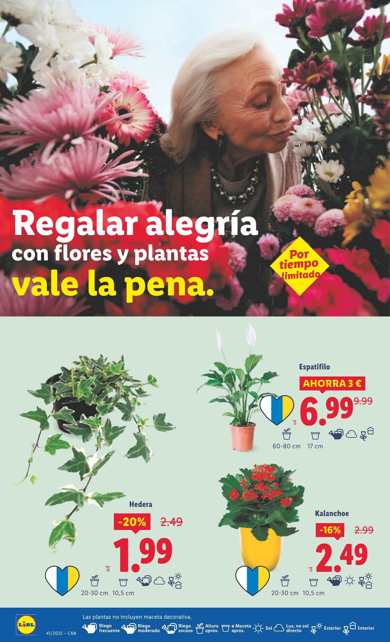 Folleto Lidl 06.10.2025 - 12.10.2025