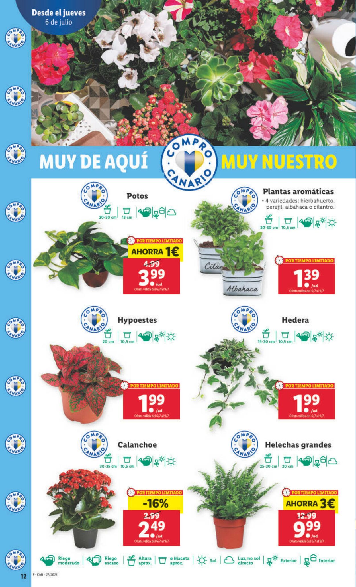 Folleto Lidl 06.07.2023 - 12.07.2023