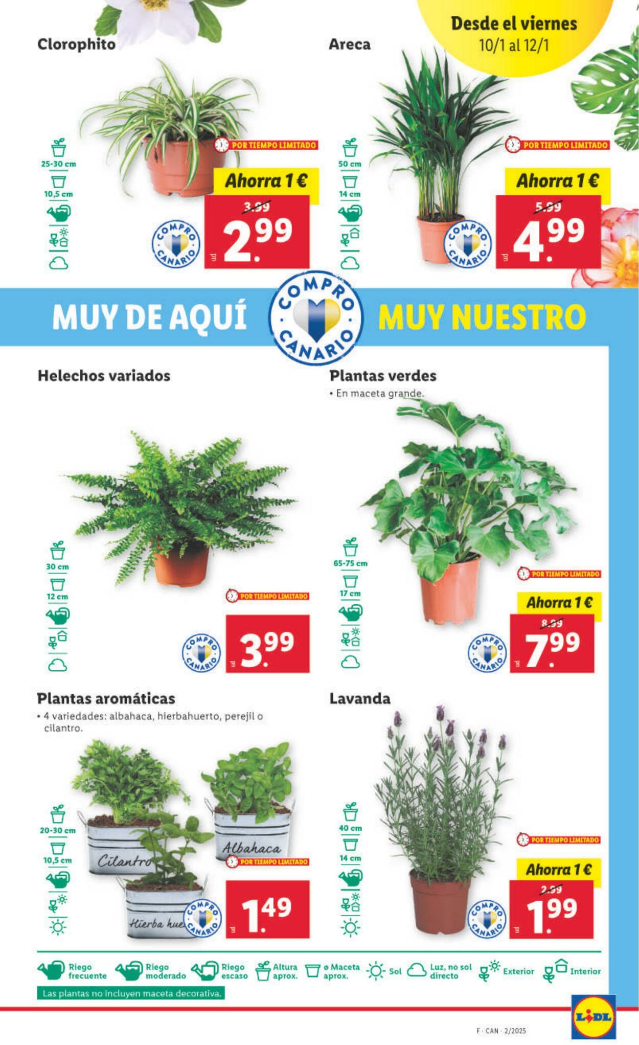 Folleto Lidl 07.01.2025 - 12.01.2025