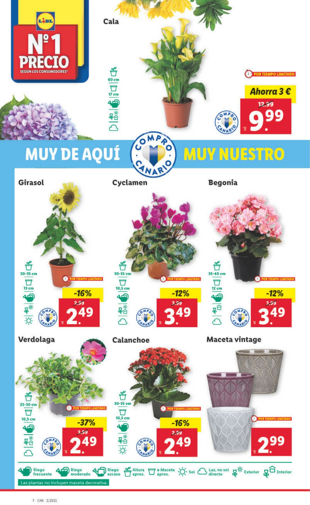 Folleto Lidl 07.01.2025 - 12.01.2025